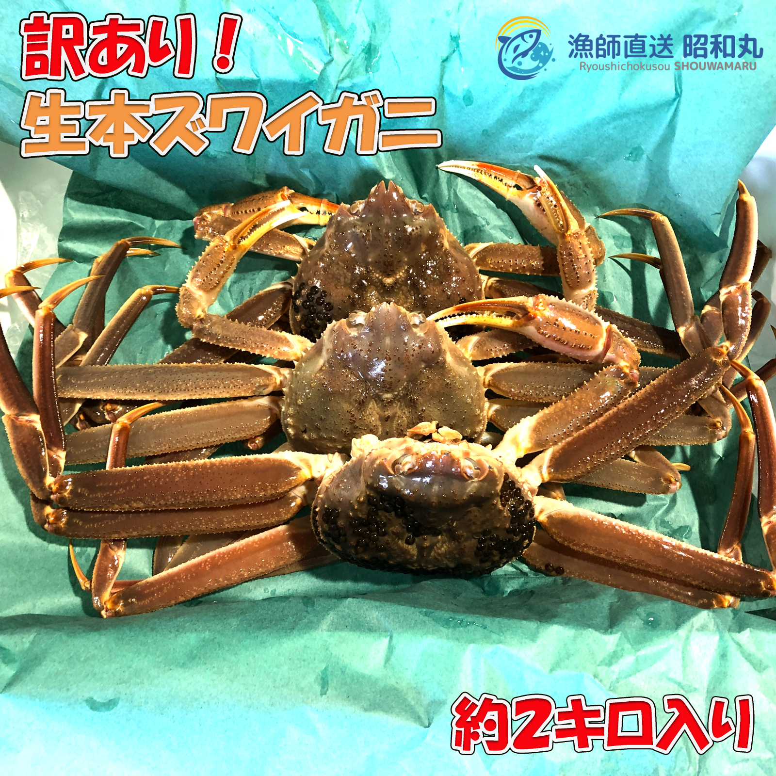 訳あり生本ズワイガニ 約2キロ入り | 魚介類/カニ 産直アウル 農家から