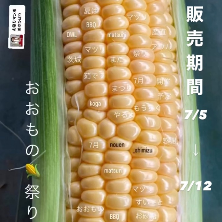 nouen_shimizu（茨城県・古河市）｜生産者詳細｜産直アウル