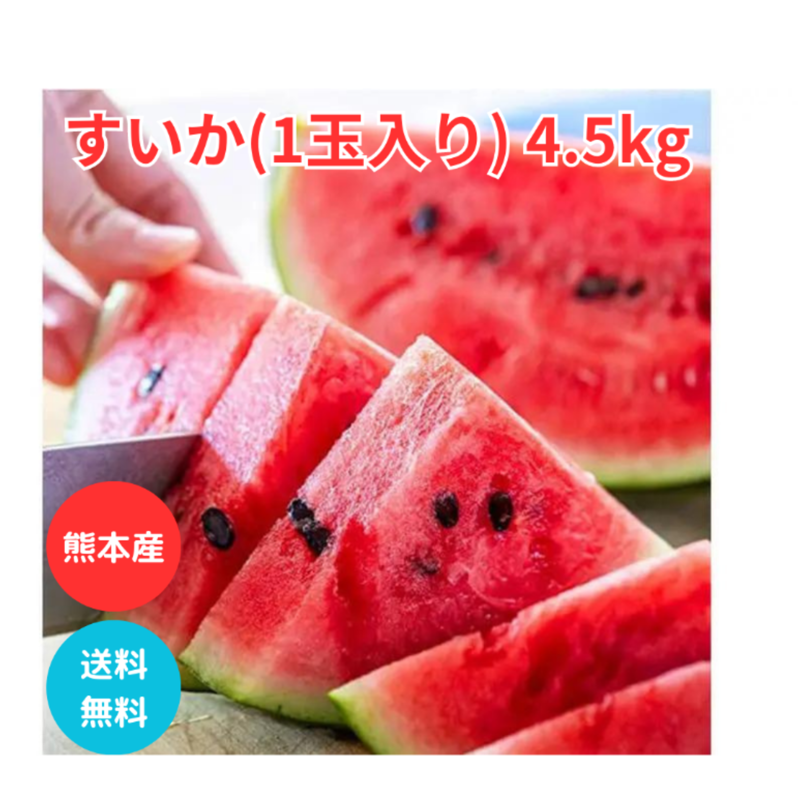 熊本 すいか 1玉 4Kg 2Lサイズ以上 特A優品 西瓜 熊本県産 果物