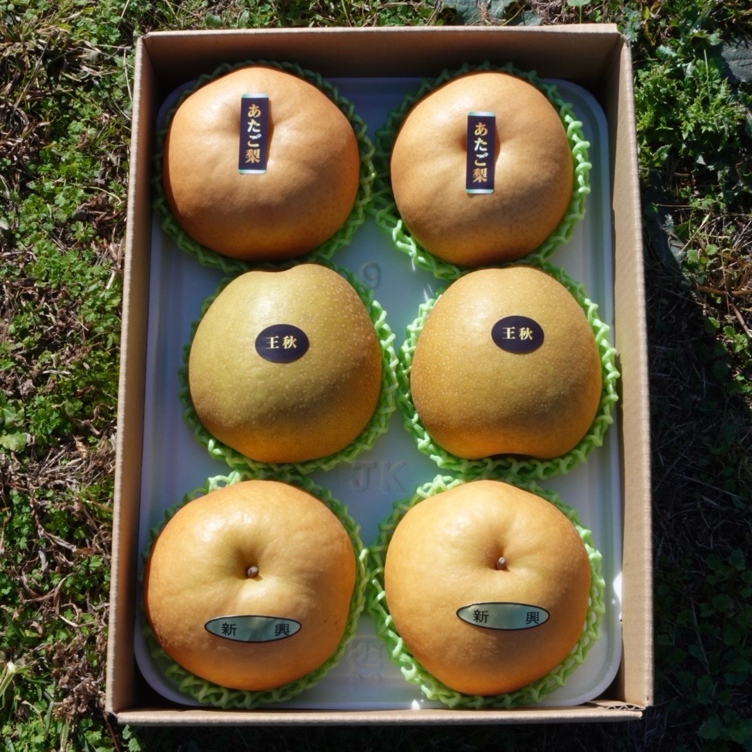鳥取県産 ギフト 新興 王秋 あたご 冬梨 食べ比べセット 3キロ | 果物