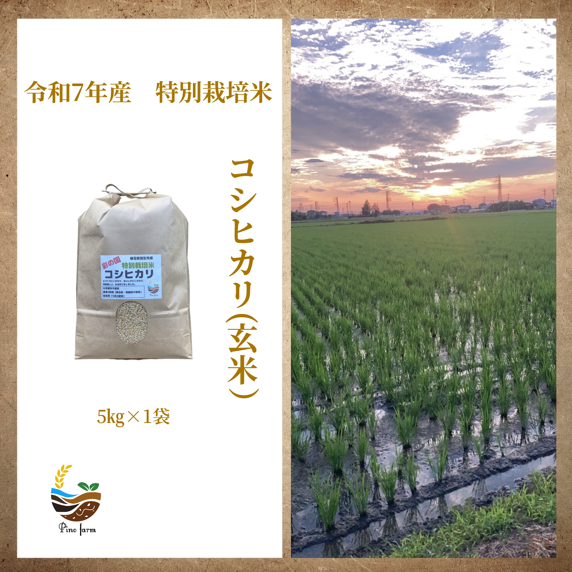 R7年産特別栽培米 コシヒカリ（玄米） 5kg×1袋 ｜ 米・穀物/玄米 