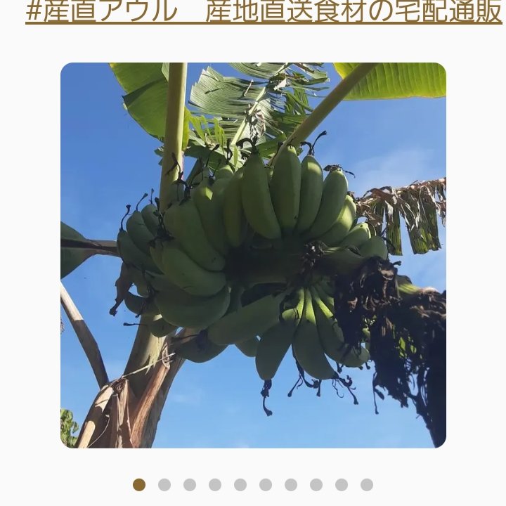 徳之島産　島バナナ　nao 徳之島産 島バナナ nao様専用 - メルカリ