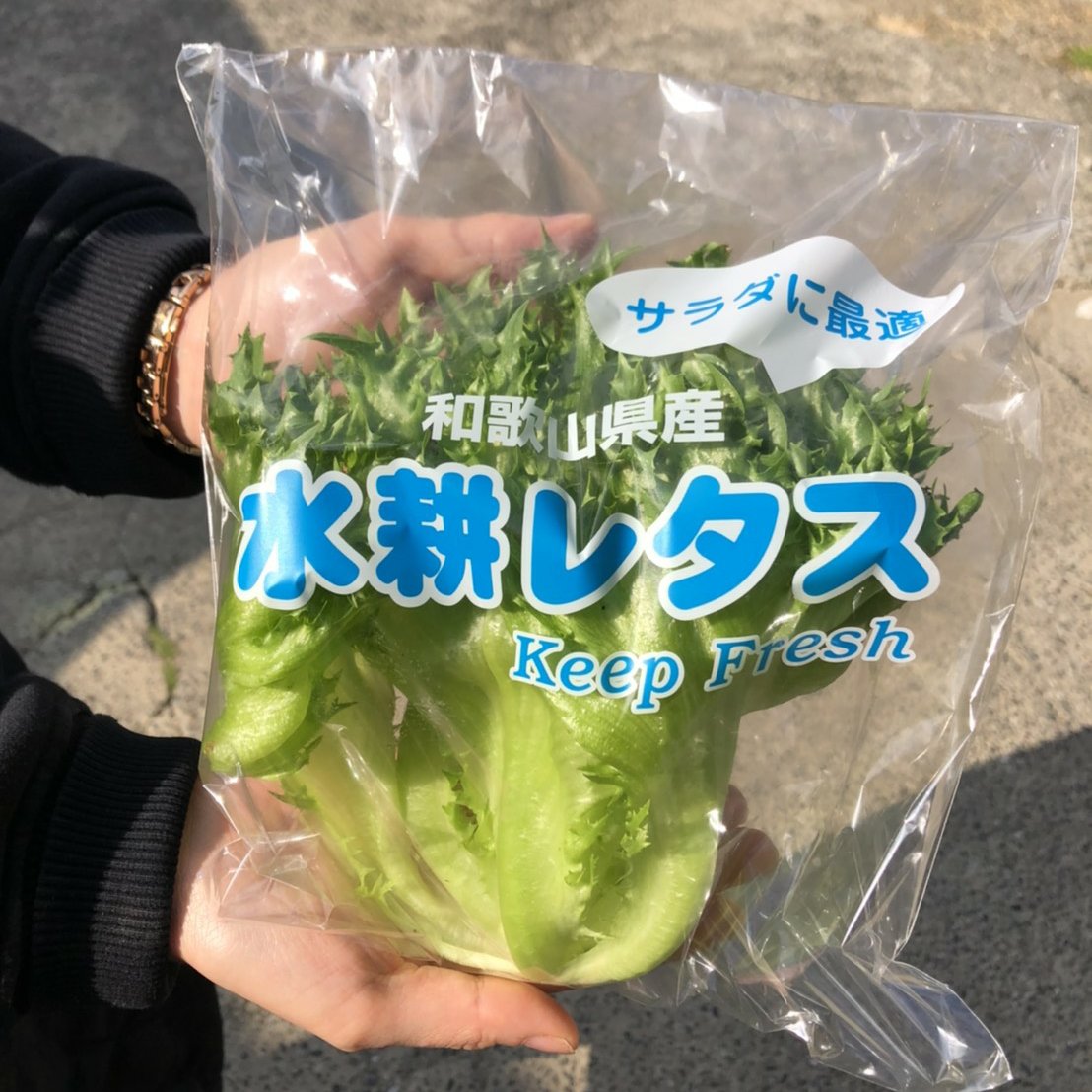水耕レタス10袋【和歌山県産】 ｜ 野菜/レタス 産直アウル 農家・漁師