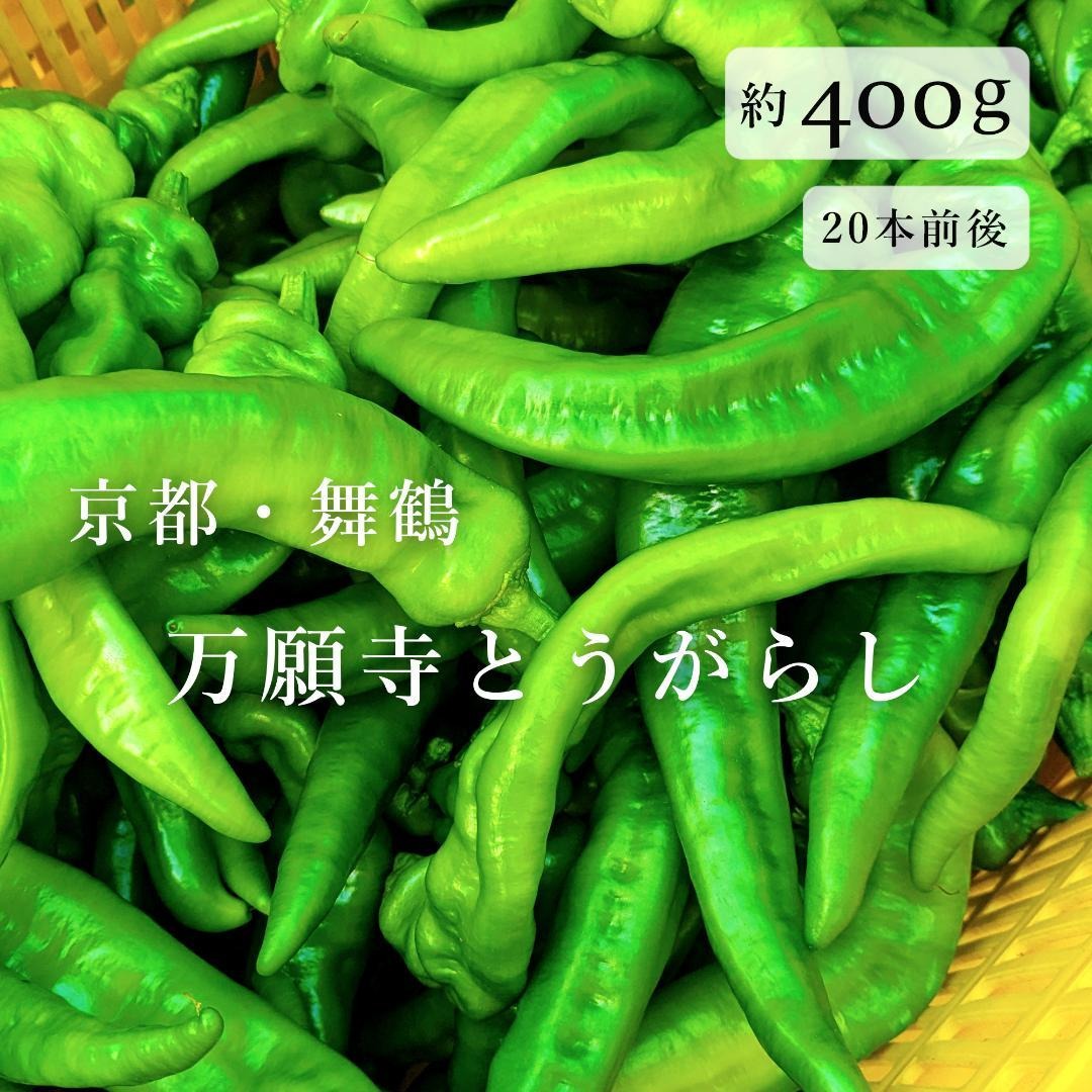 万願寺とうがらしの産地直送食材一覧（通販・お取り寄せ）-産直アウル