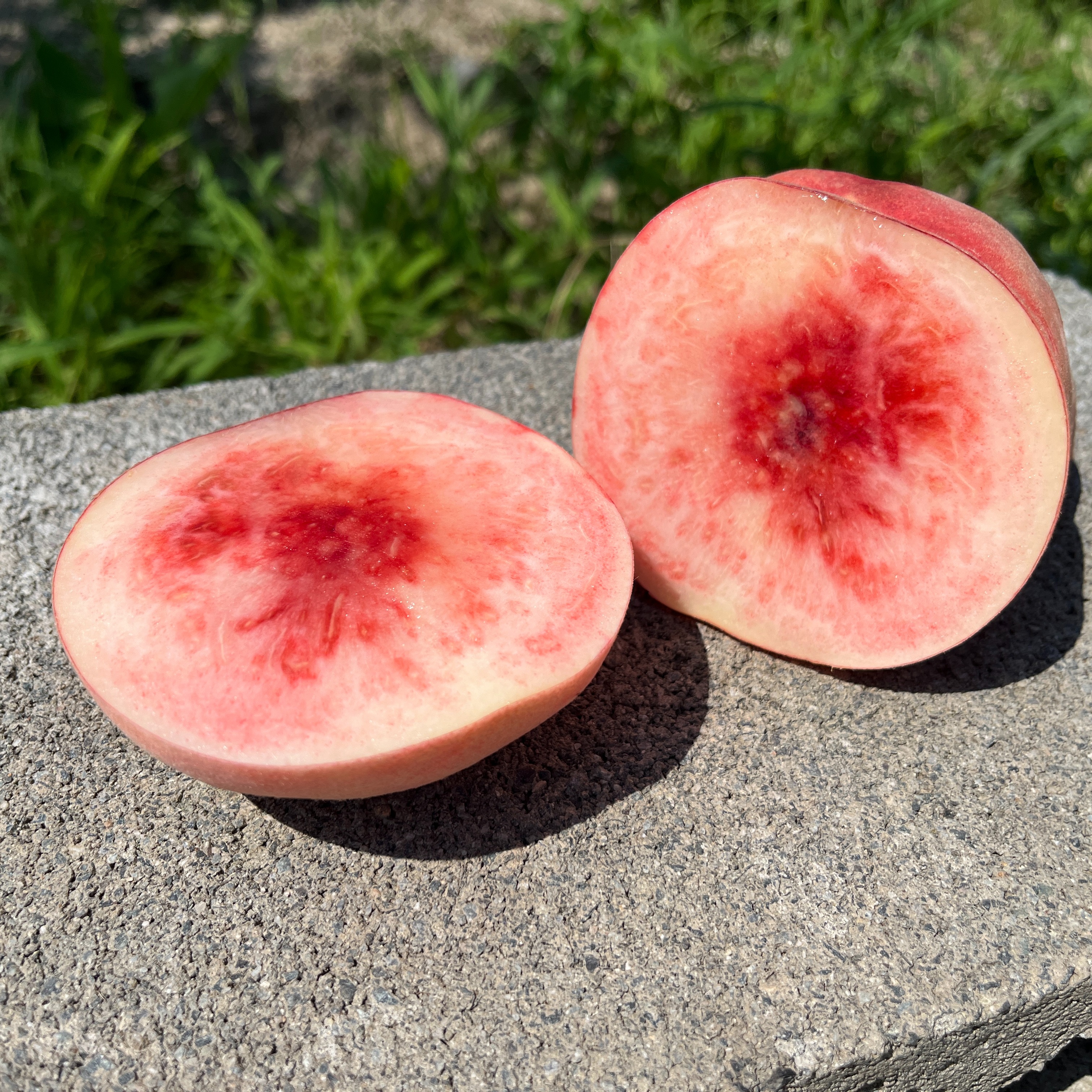 桃「まどか」家庭用5kg ｜ 果物/もも 産直アウル 農家・漁師など生産者