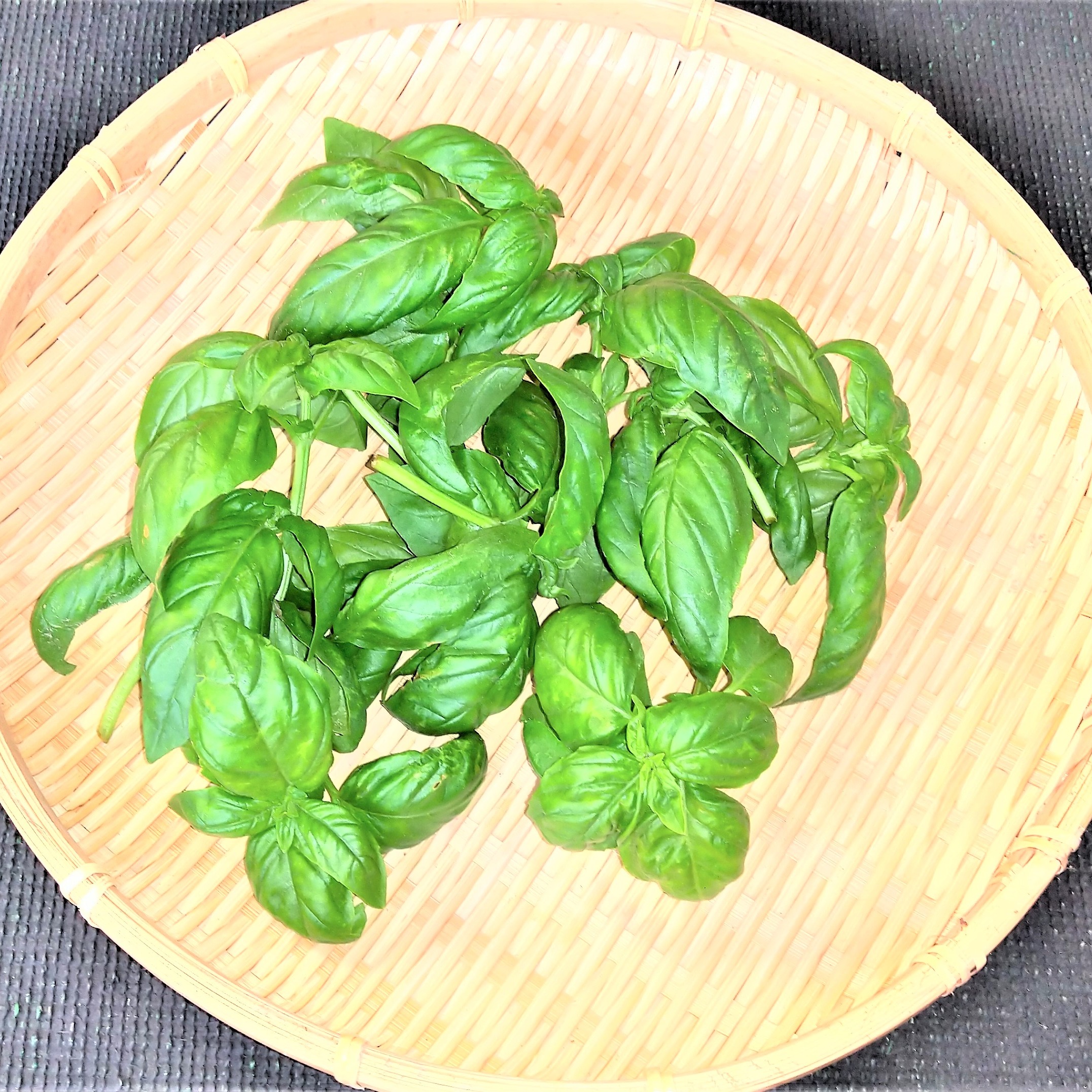 岡山産 とれたて無農薬バジル 3kg 3キロ