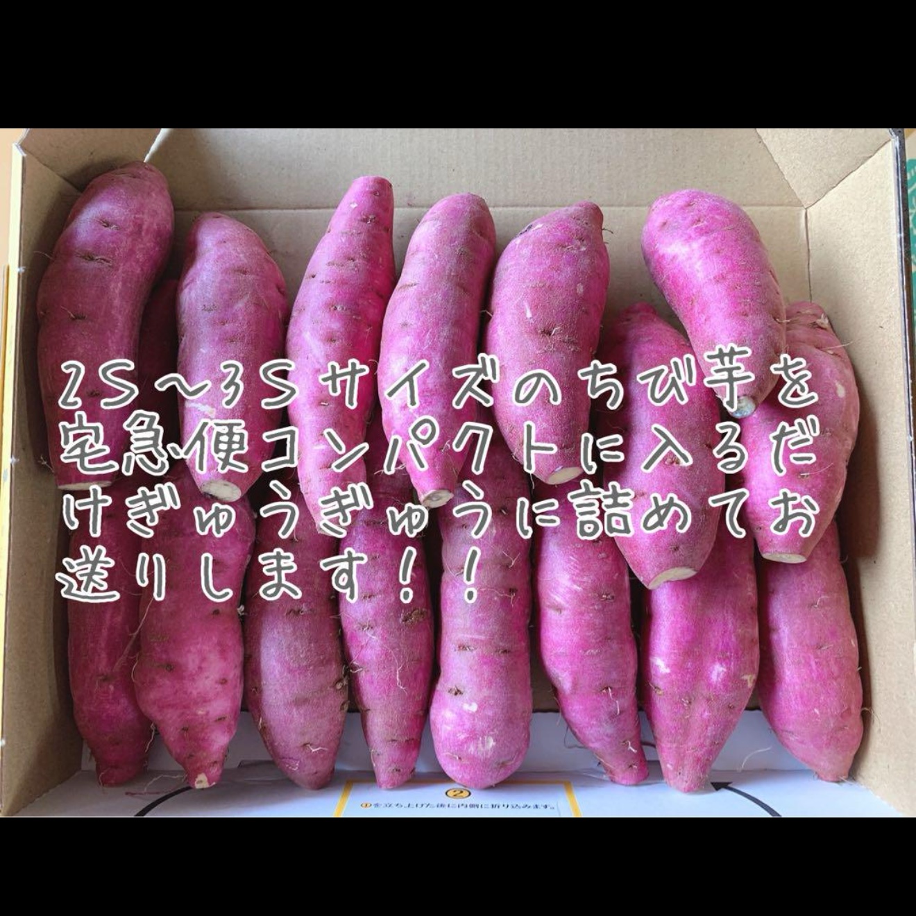 e9cbea01218cb50e0a358ed191ba99