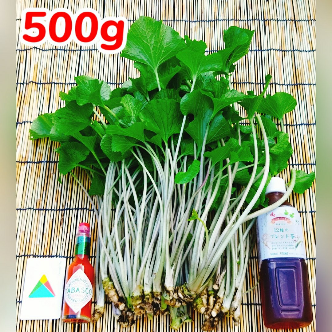 本生わさび 農家直送 １キロ ４月１５日前後収穫発送予定 わさびの通販｜野菜｜食べチョク｜産地直送(産直)お取り寄せ通販