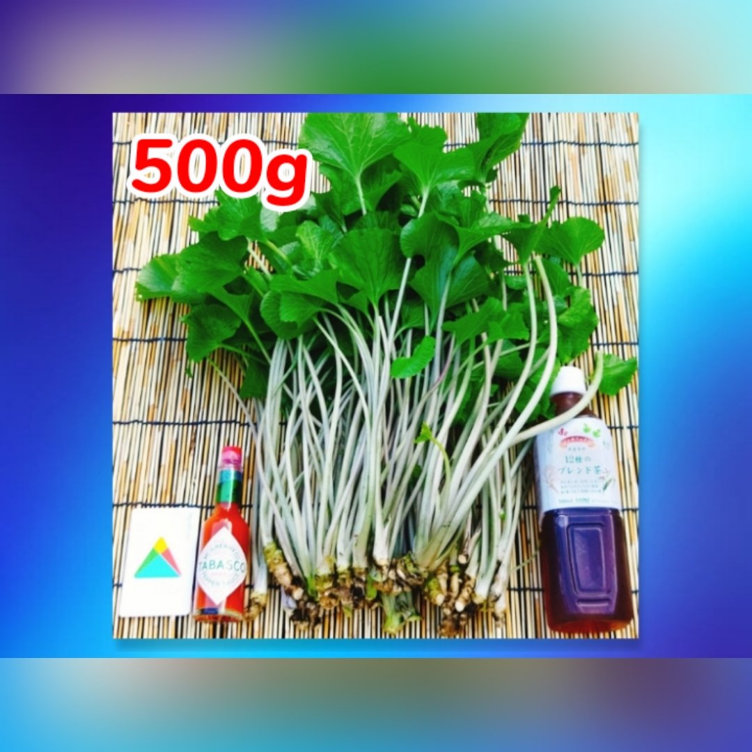 ≪お得セット≫(小さめ本生ワサビ_200g前後＆葉ワサビ_1kg前後)訳アリ