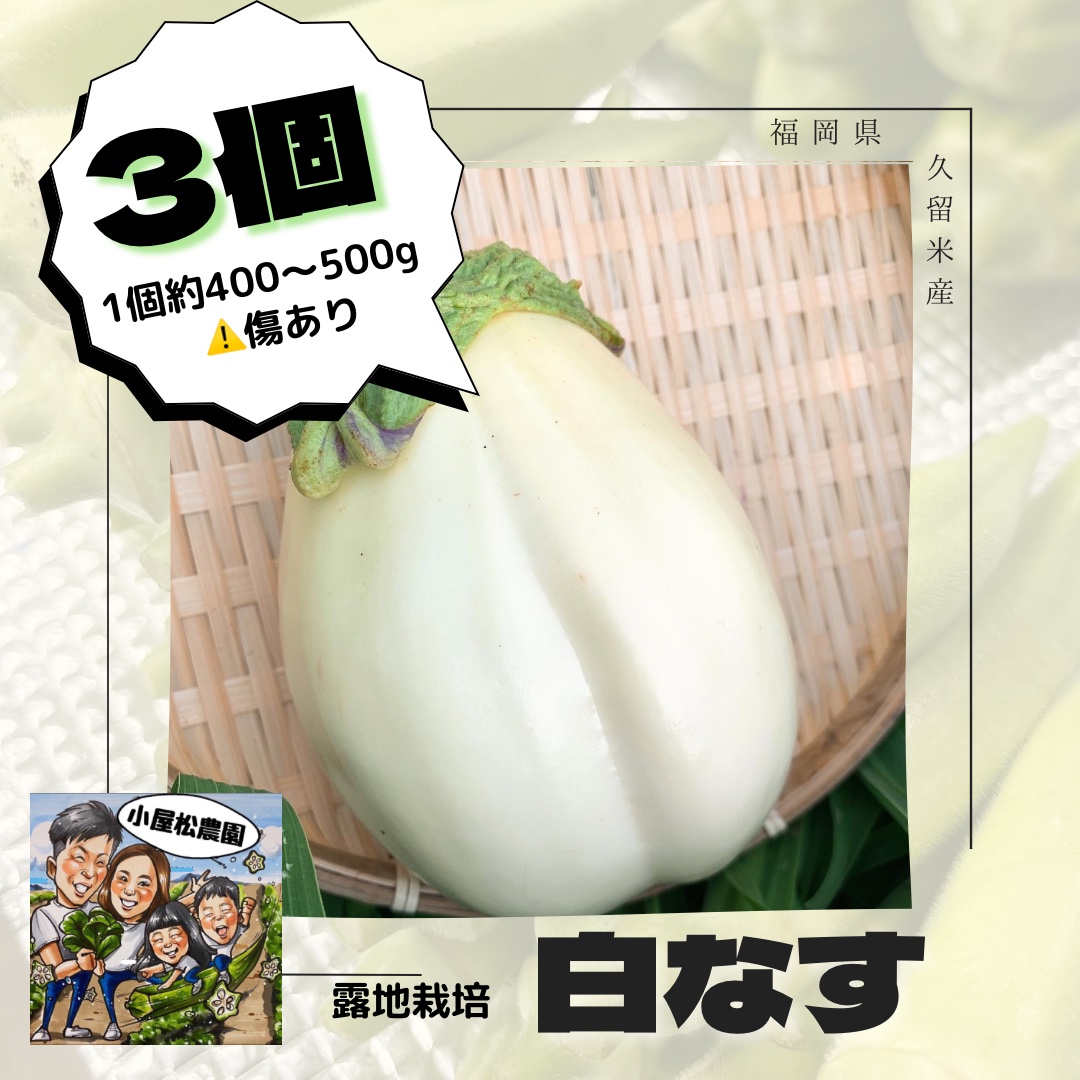 露地栽培の白なす‼️3個 | 野菜/茄子 産直アウル 農家から直接野菜など 