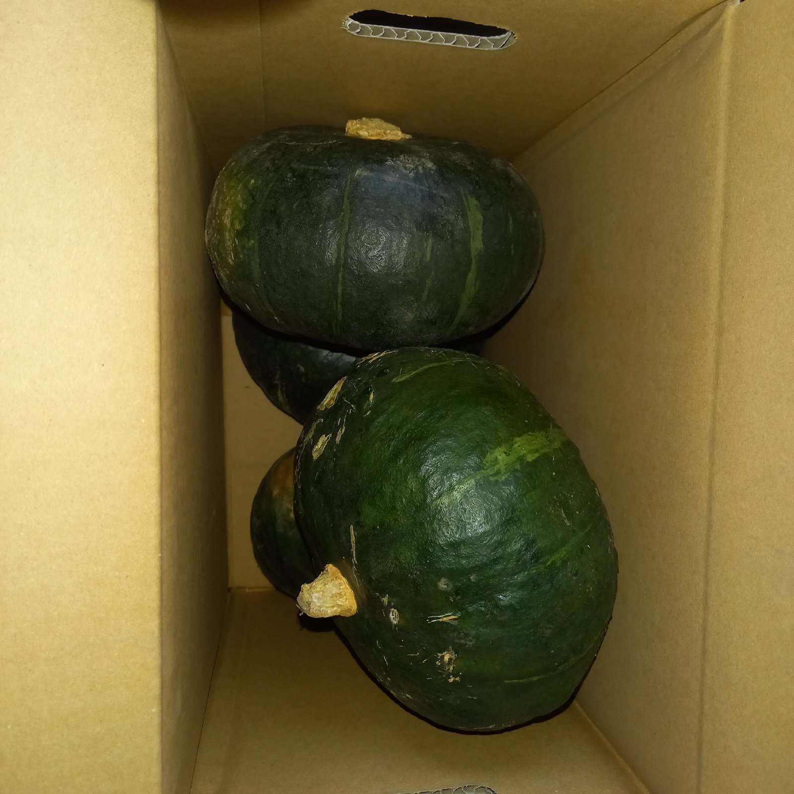 訳あり 栗カボチャブラックのジョー 約4kg(2個～5個) | 野菜/かぼちゃ