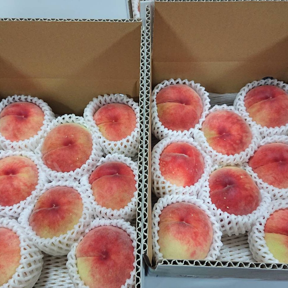 旬祭限定】クール便 山梨県産 品種おまかせ 家庭用 2キロ箱使用(正味
