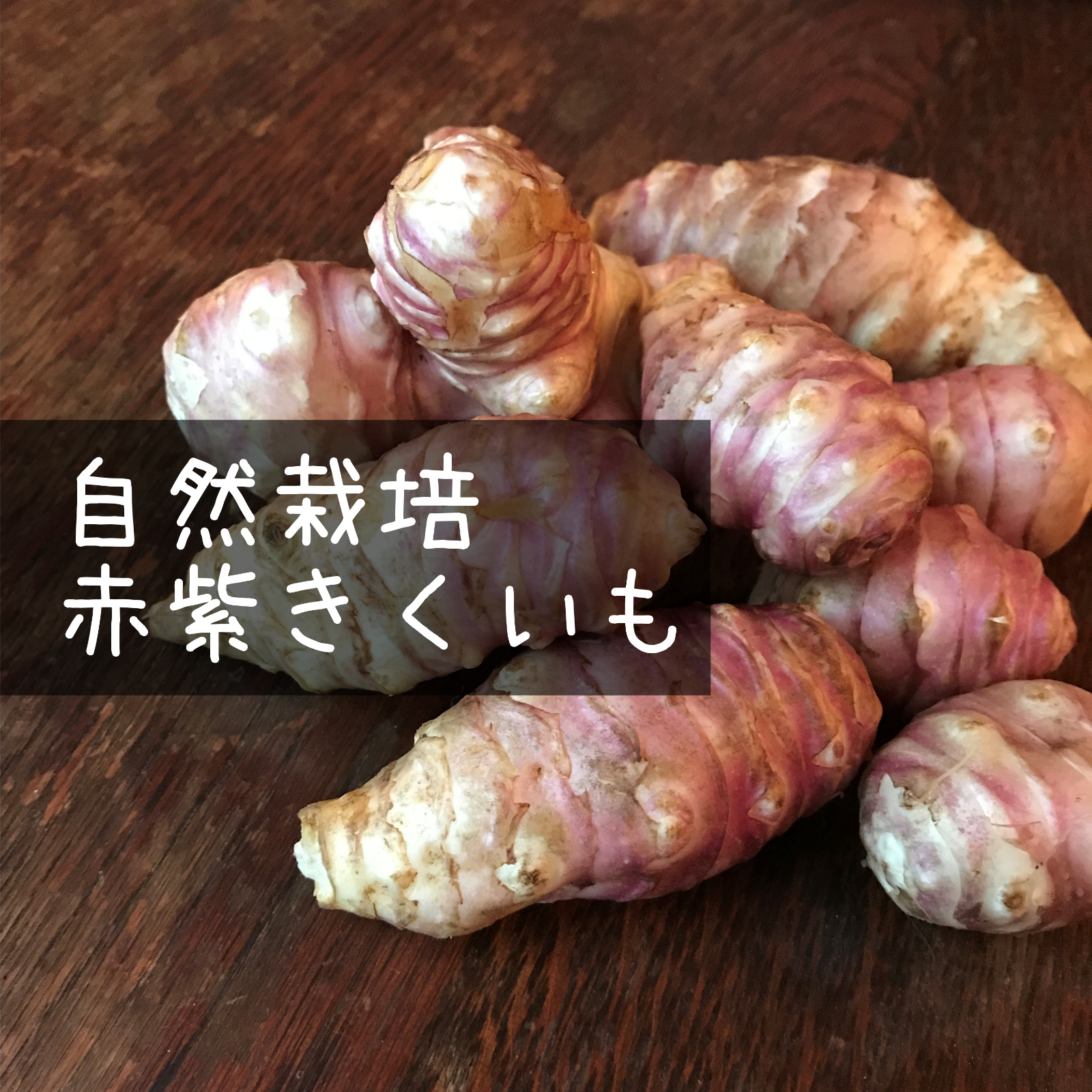 自然栽培】赤紫フランス菊芋4kg☆農薬・肥料不使用｜きくいも