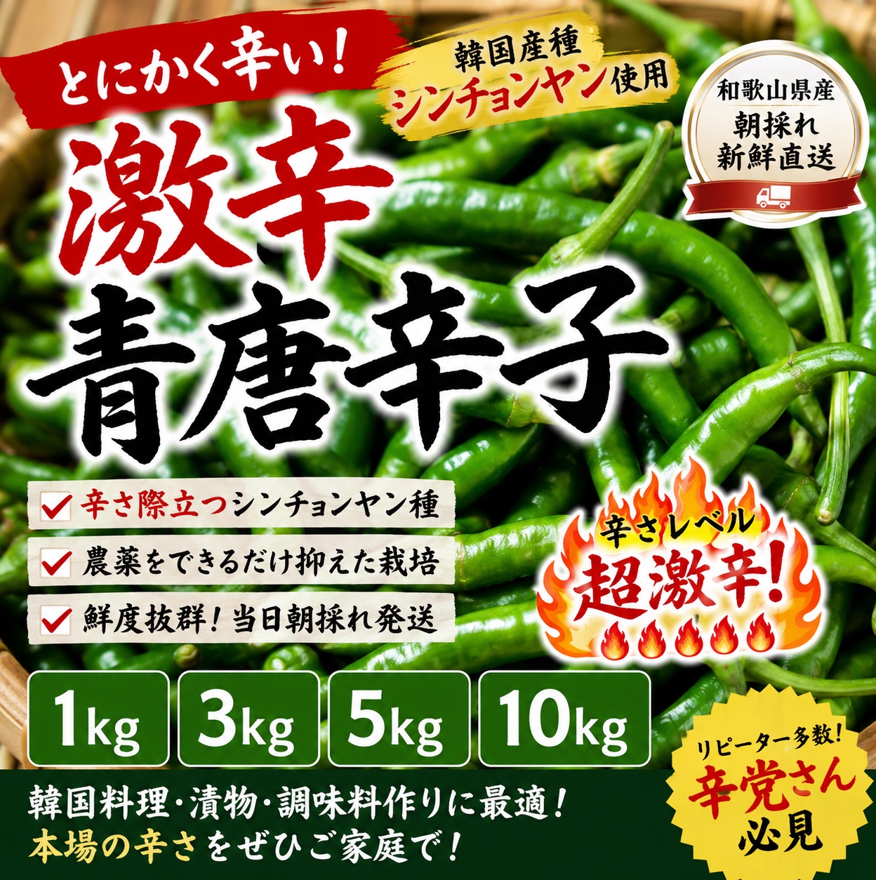韓国種使用】シンチョンヤン 青唐辛子 3kg 激辛 柚子胡椒に ｜ 野菜