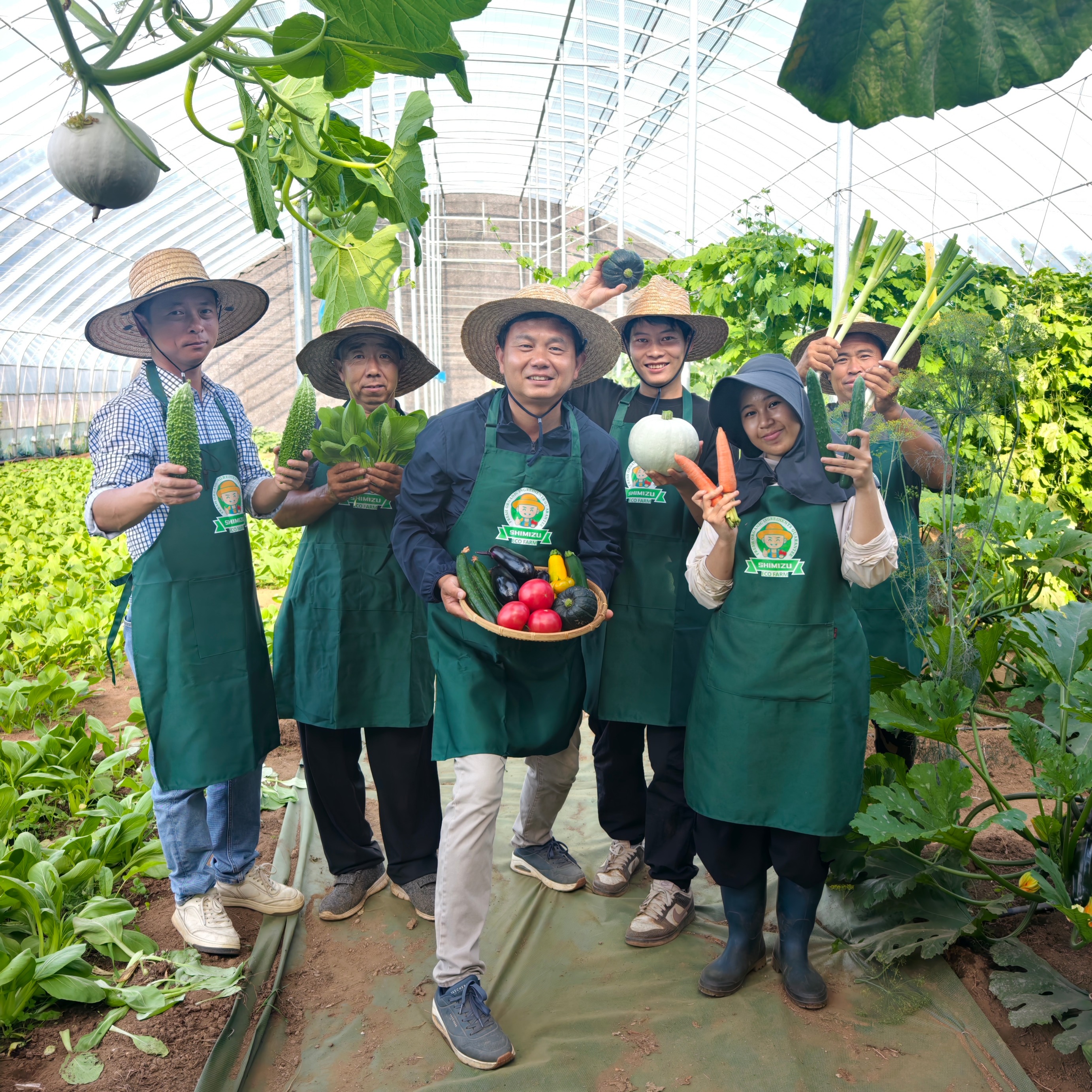 農園直送】採れたて旬の野菜セット（10～13品）｜人気の野菜詰め合わせ