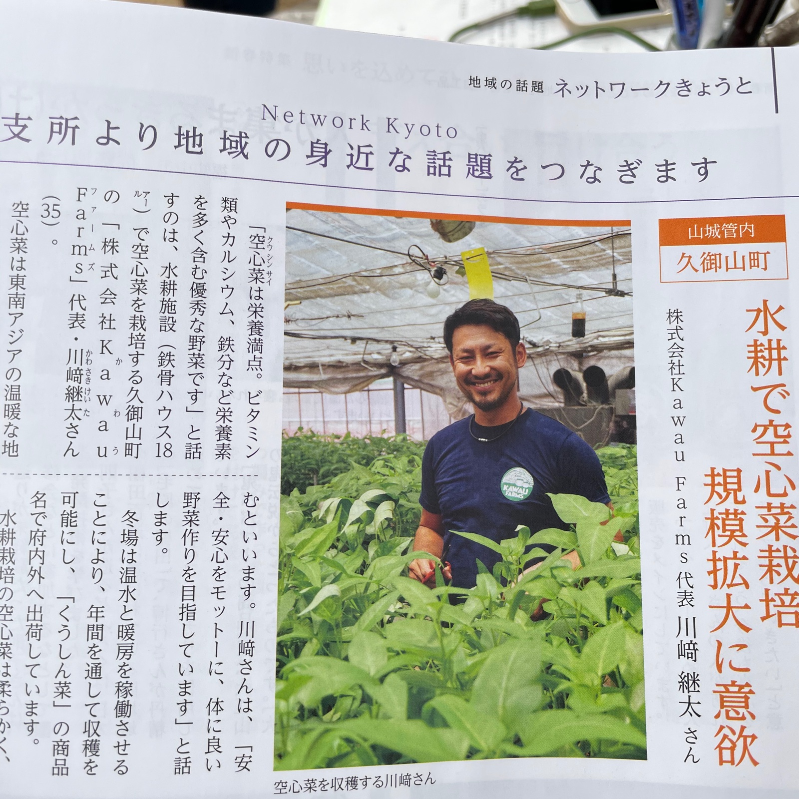 栄養満点☆女性におすすめ☆くうしん菜 ｜ 野菜/葉物 産直アウル 農家