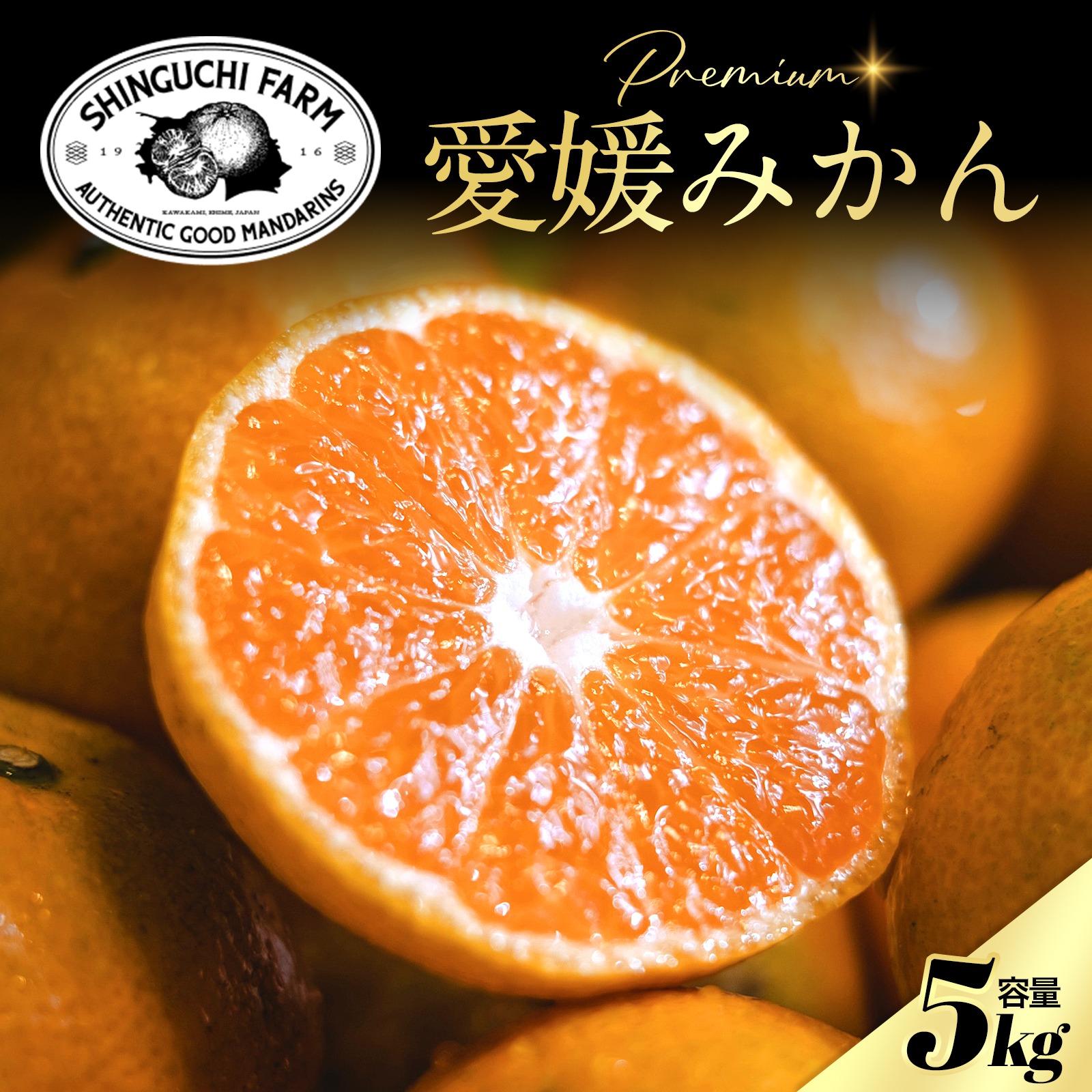 老舗農家が見極めたプレミアム【愛媛みかん5kg】愛媛県川上産 贈答用