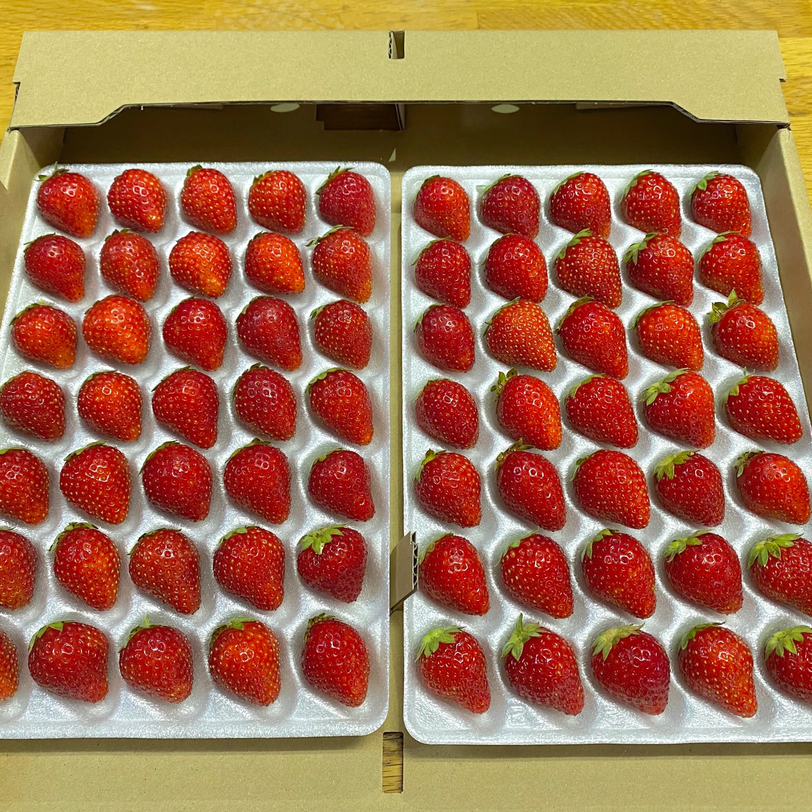 夏秋イチゴ【サマーティアラ】35玉(約300g)×2トレー2箱 ｜ 果物