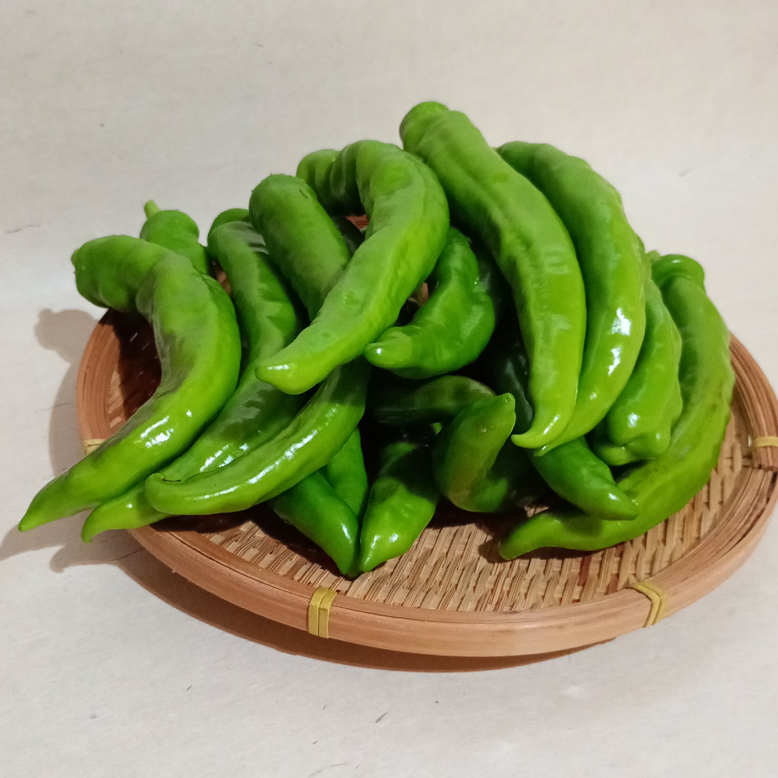 有機栽培 万願寺とうがらし 1.5kg ｜ 野菜/ししとう 産直アウル 農家