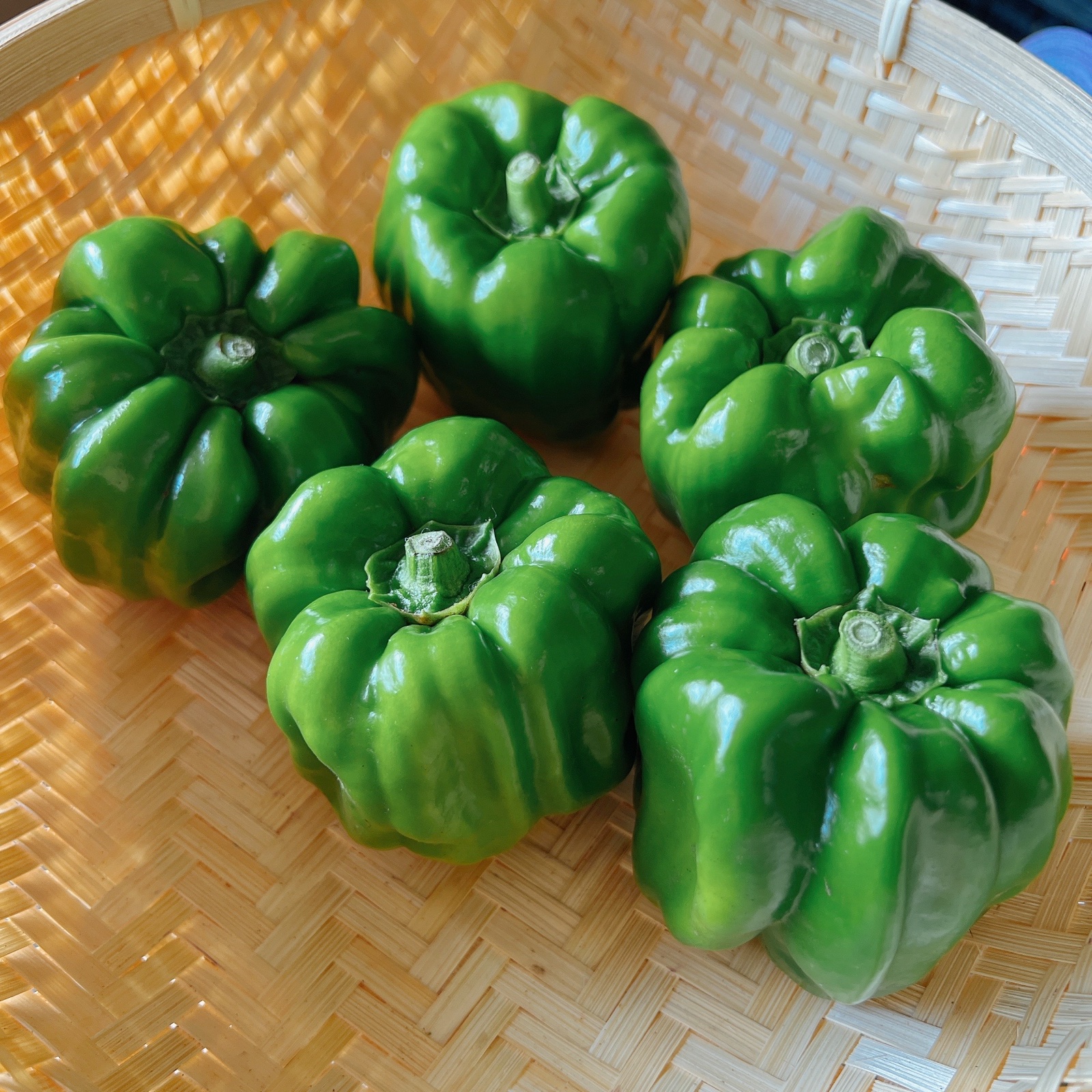 神楽南蛮(かぐらなんばん)約1kg ｜ 野菜/スパイス 産直アウル 農家