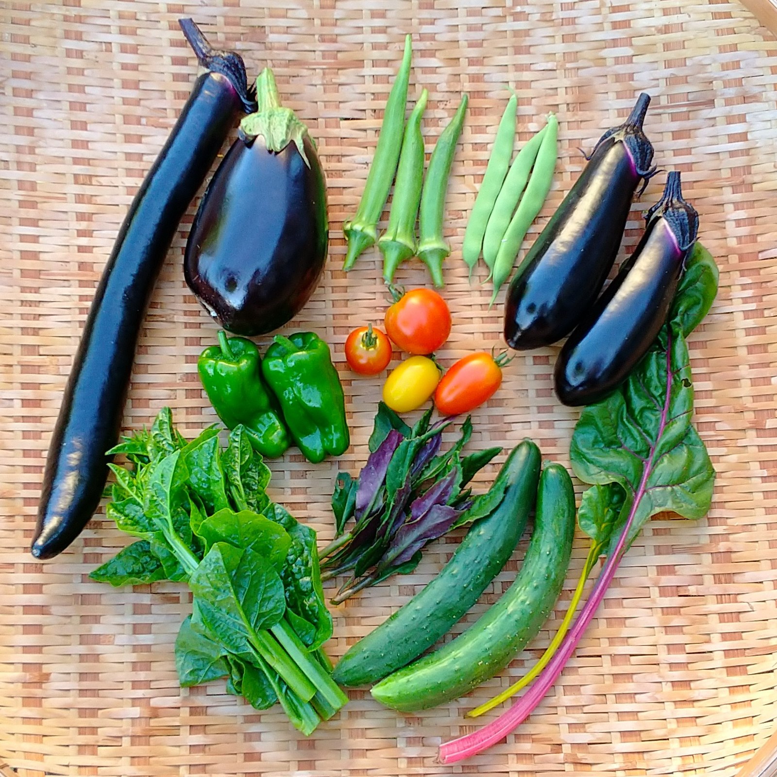 自然栽培】【7種】南信州/飯田から9月の旬野菜セット | 野菜/野菜