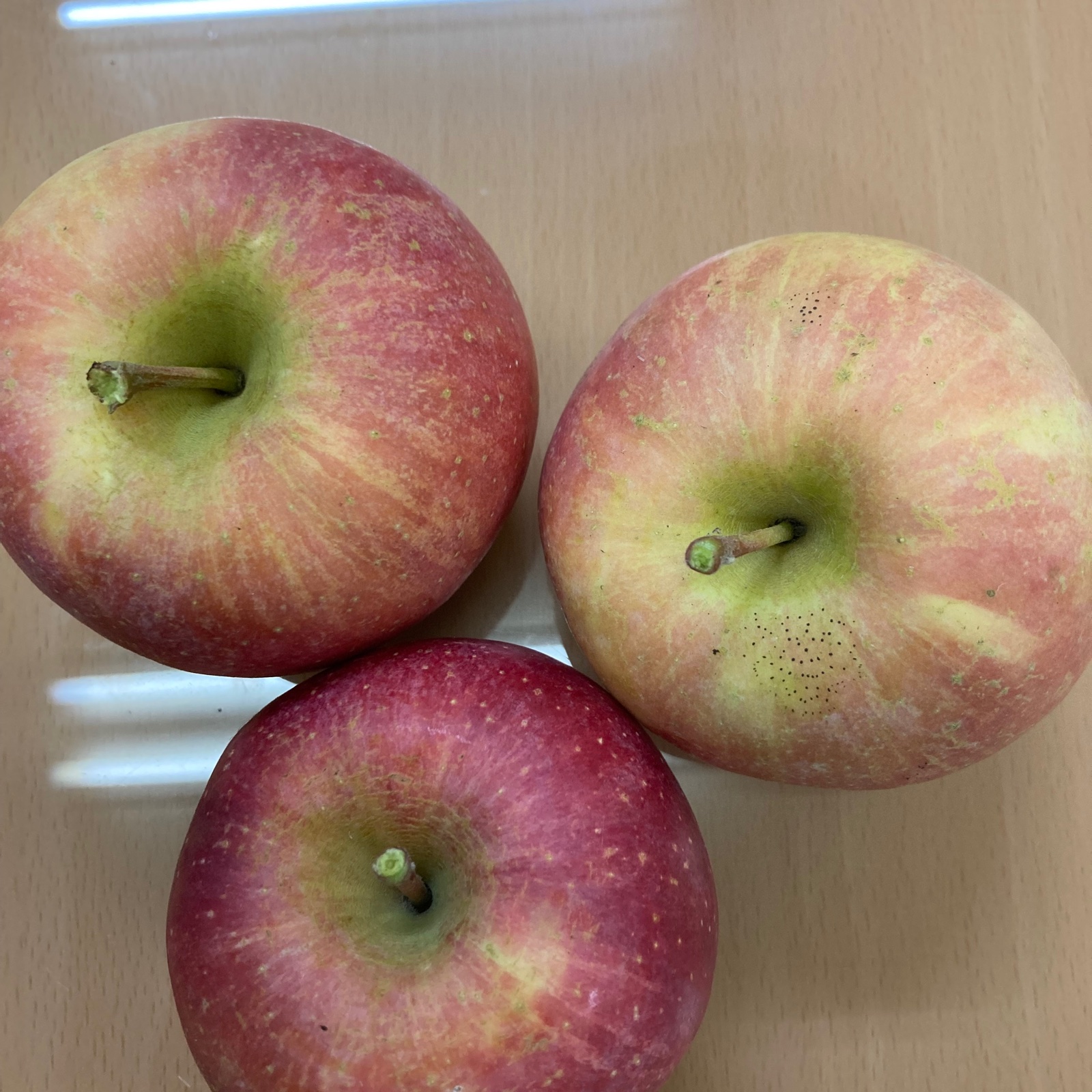 5キロ減農薬栽培樹上完熟蜜入り葉取らずサンふじ訳あり 今年もかなり