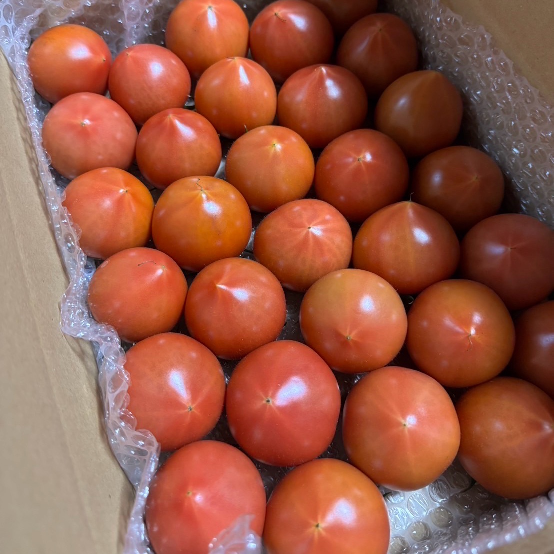 昔ながらのトマト80サイズ箱詰め（3S） ｜ 野菜/トマト 産直アウル