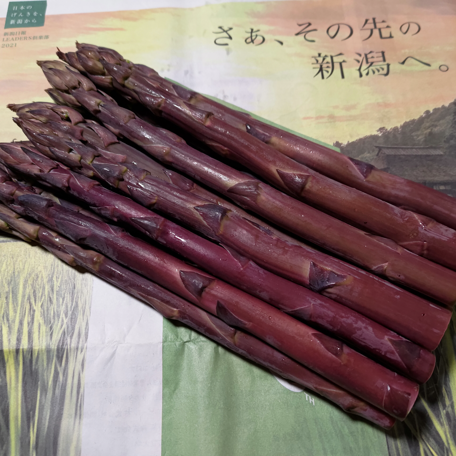 紫アスパラガス A等級 2kg ｜ 野菜/アスパラガス 産直アウル 農家 