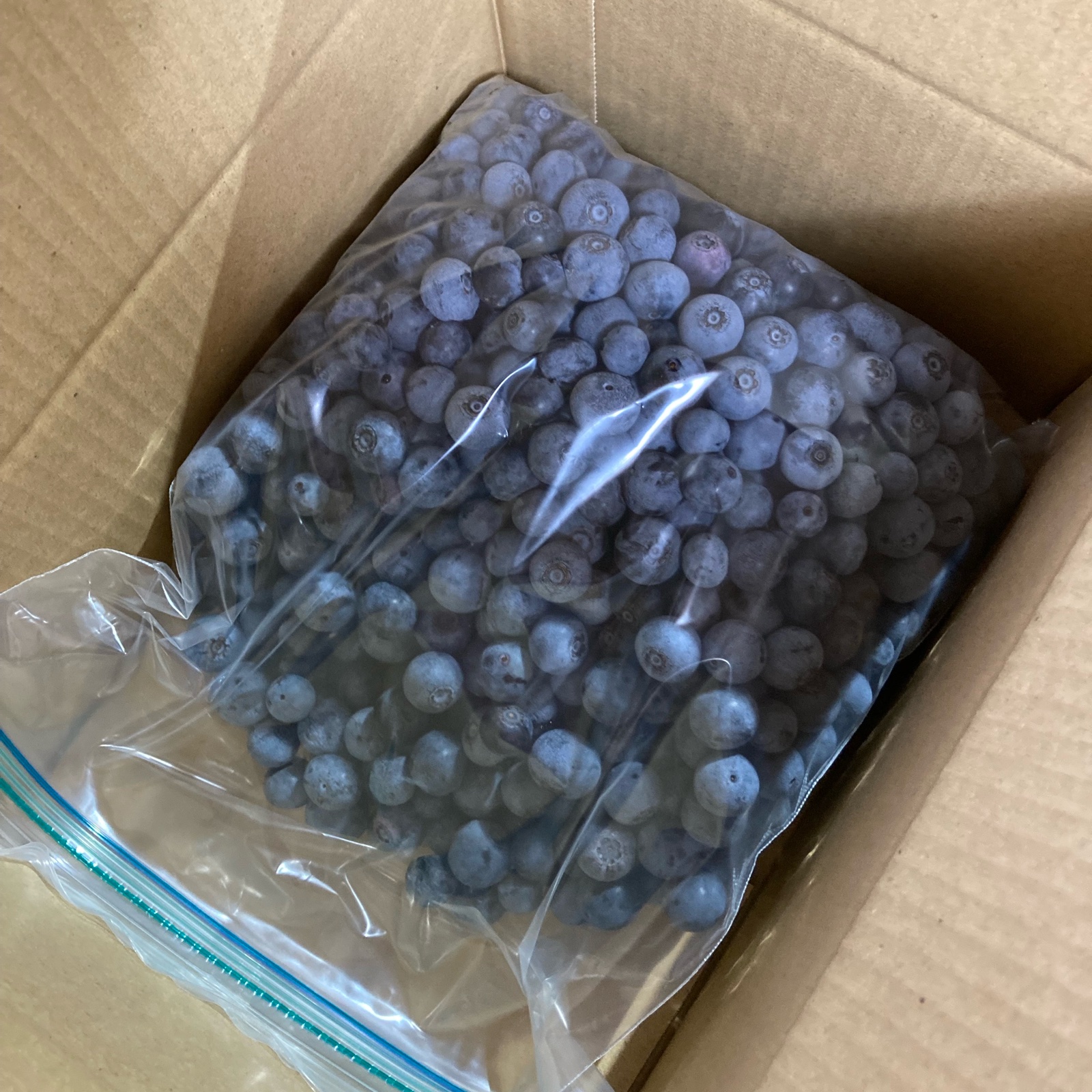 ec9bdd6be877f7535885130b5e7d87