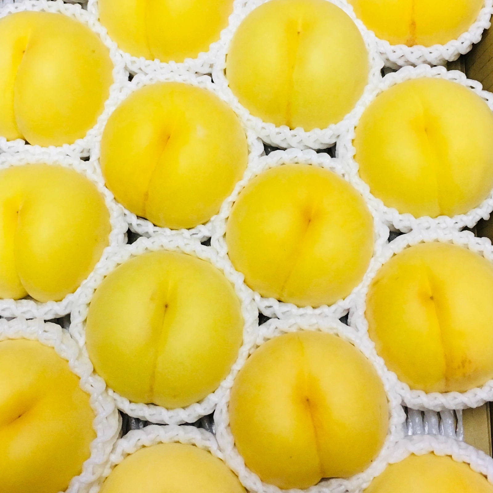 限定300 ！南国の味わい 樹上完熟 黄貴妃 ｜ 果物/もも 産直アウル