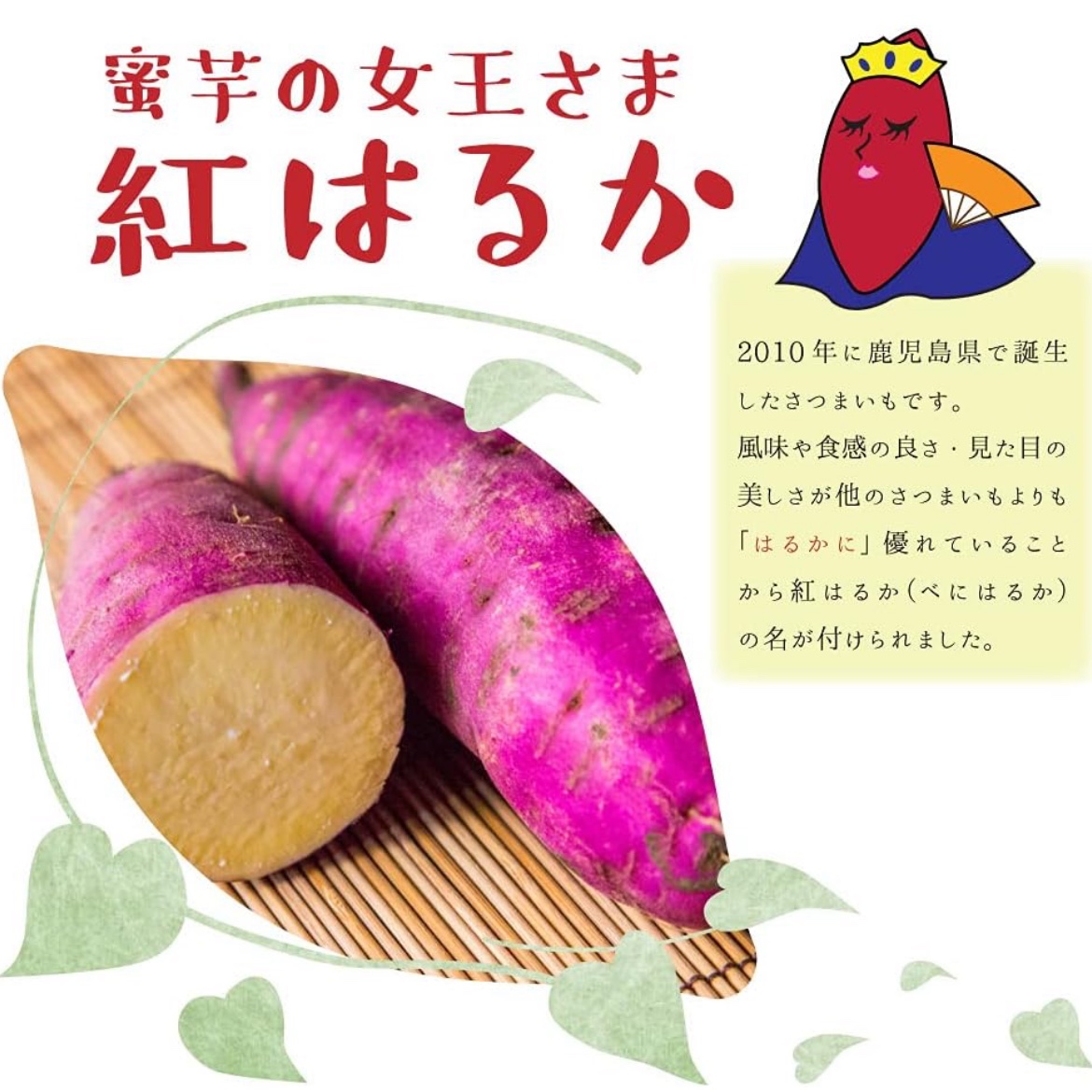 4周年限定：送料割引き中】身体に美味しい自然農法紅はるか ｜ 野菜