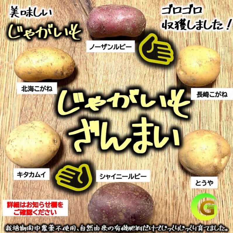 食品 ノーザンルビー L.2L 15kg