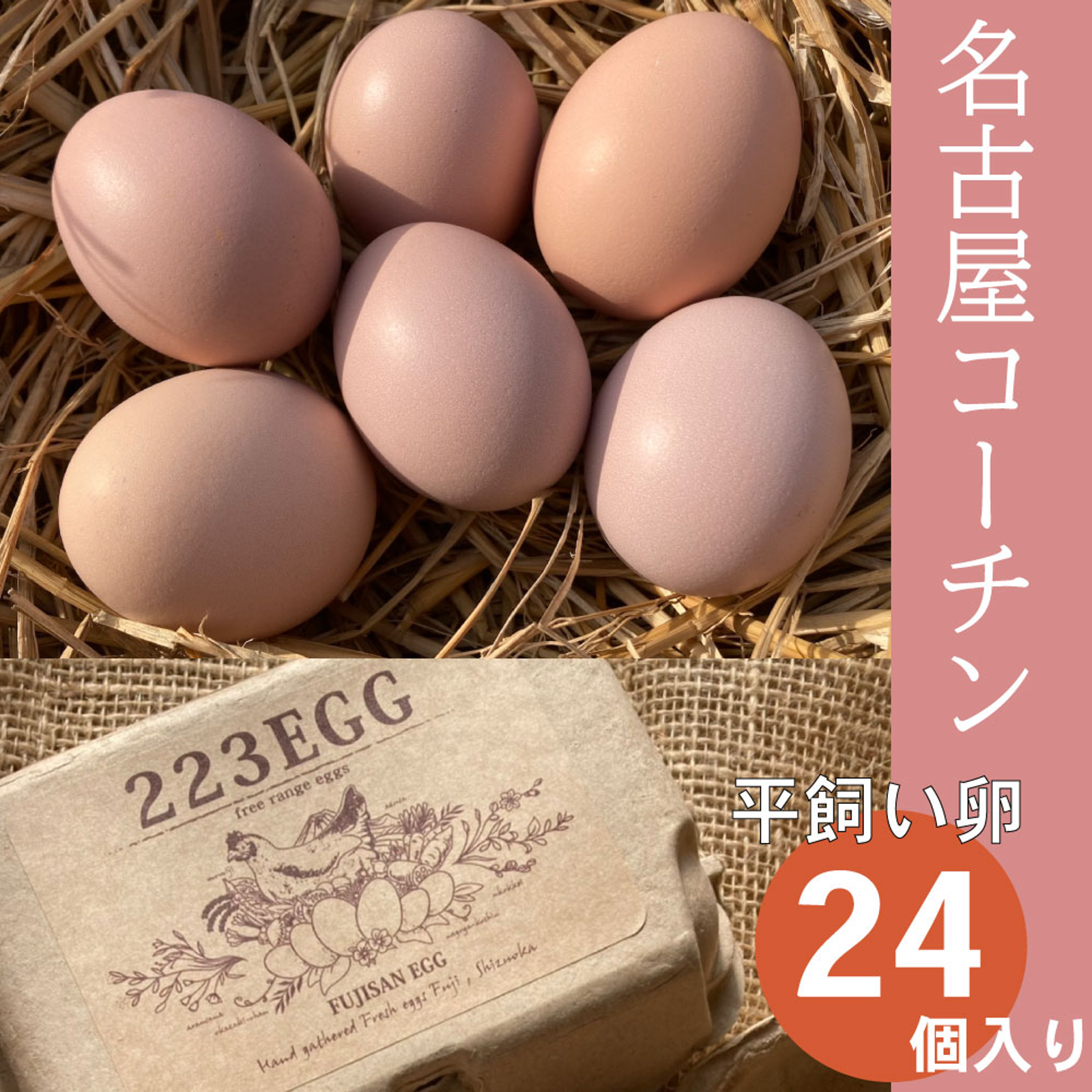 平飼い 卵 24個セット］名古屋コーチン 223EGG たまご | 卵/鶏卵 産直アウル 農家から直接野菜などの食材を購入できる産地直送の宅配通販サイト