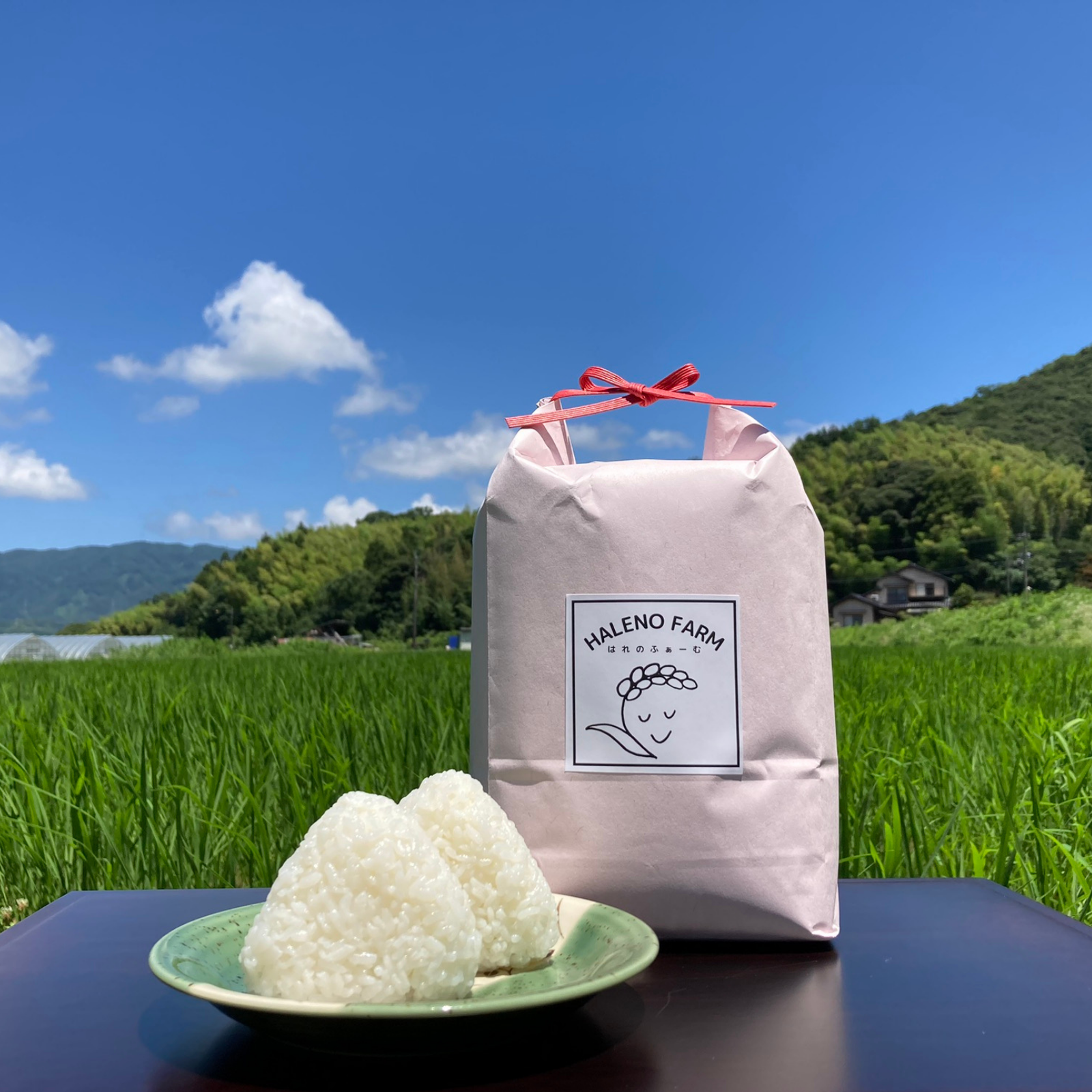 Chappi様専用☆農薬不使用☆R5 山形県産 いのちの壱 玄米28.5kg 10320