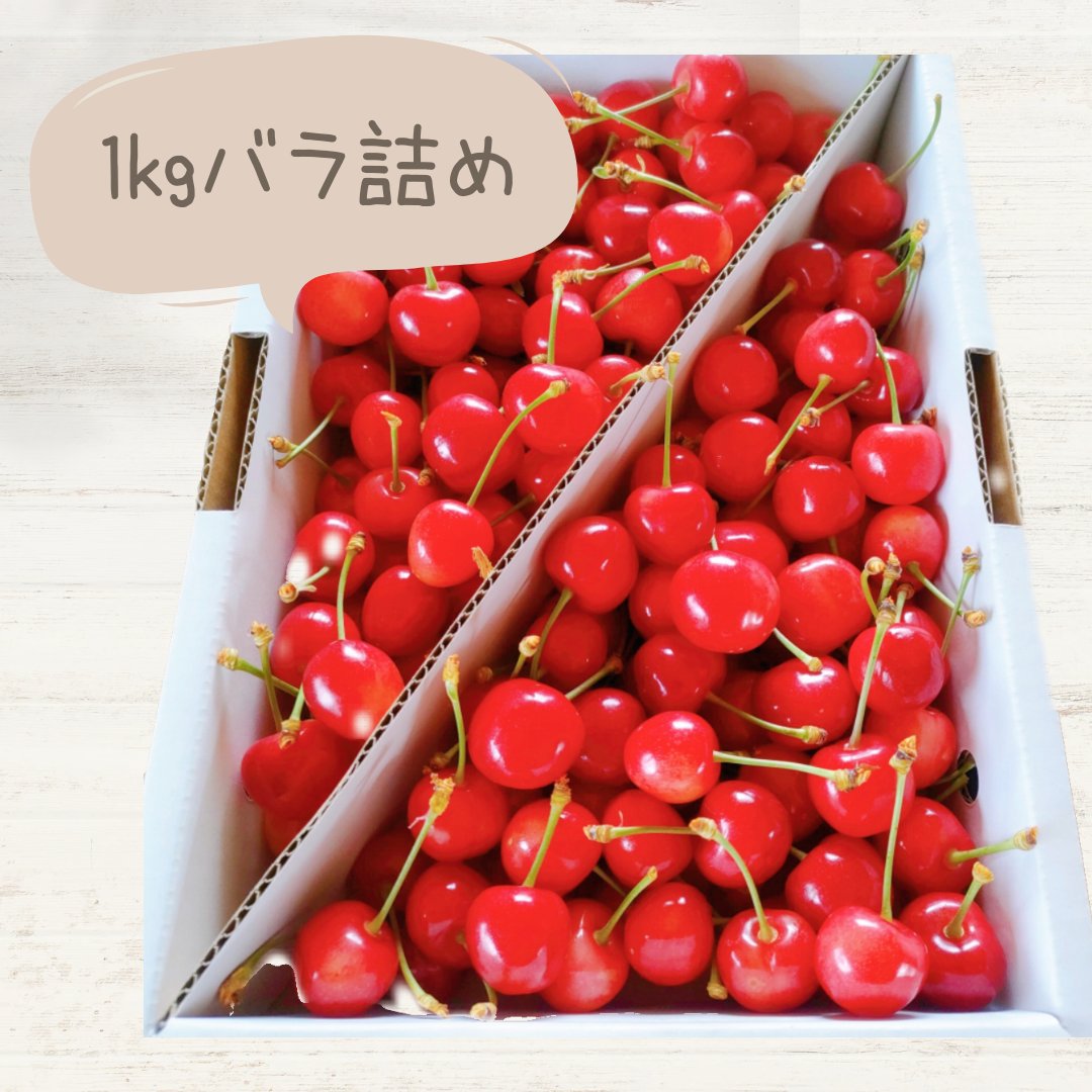 鮮度抜群！食べる宝石さくらんぼ「佐藤錦」 訳あり品バラ詰め 1kg