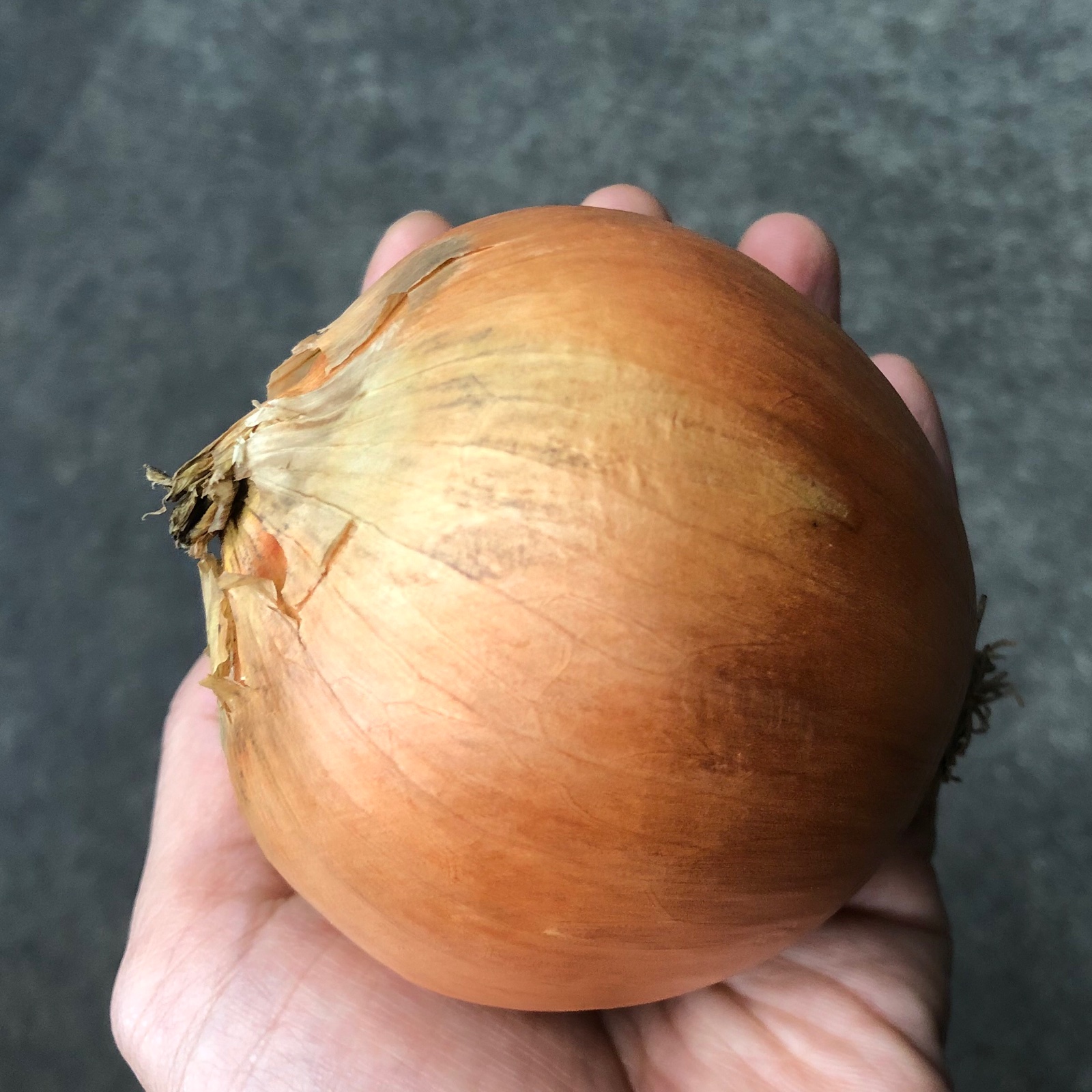 北海道産たまねぎLサイズ10kg | 野菜/玉ねぎ 産直アウル 農家から直接