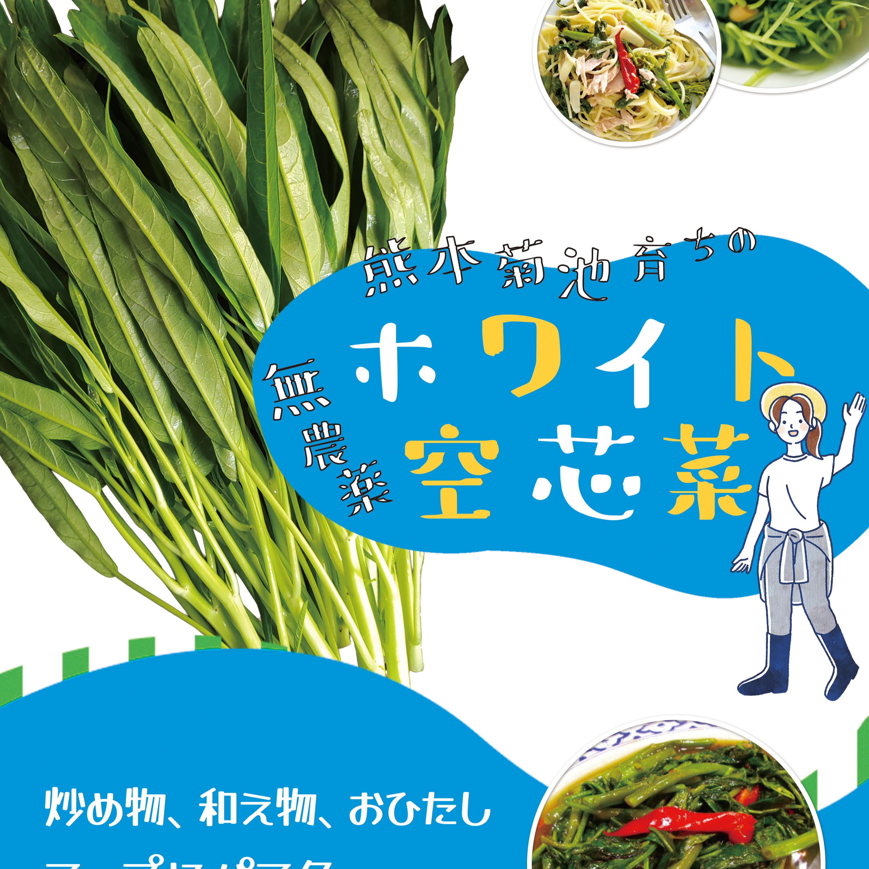 ホワイト空心菜 / 白く透き通るような茎と鮮やかな緑の葉の 