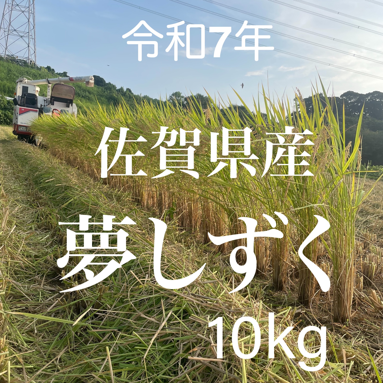 新米・夢しずく10kg・佐賀県産 | 米・穀物/米/精米 産直アウル 農家から直接野菜などの食材を購入できる産地直送の宅配通販サイト
