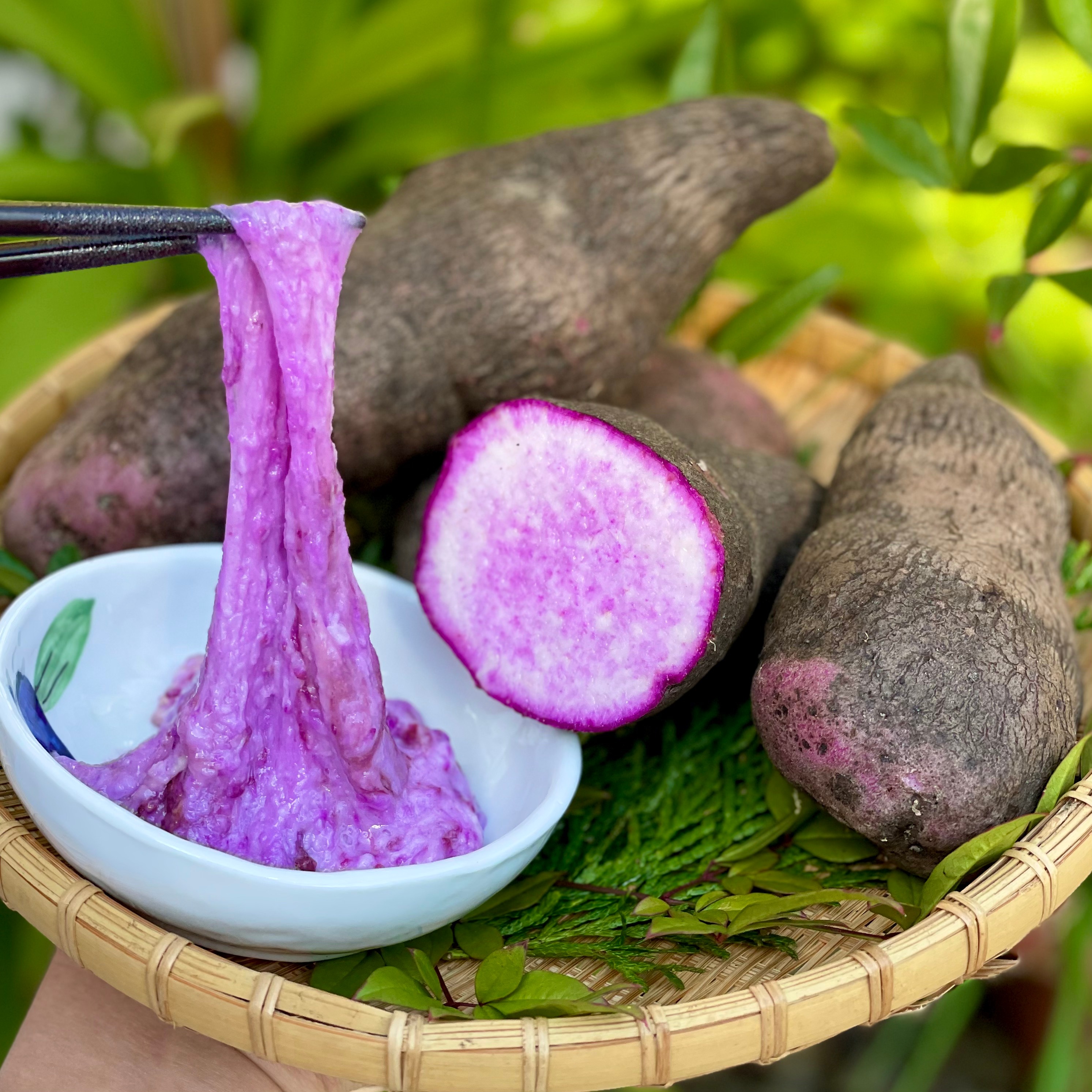 紫山芋　18kg 常温保存30日可》強い粘りとやさしい甘み！旬の紫やまいも1kg【紫山芋