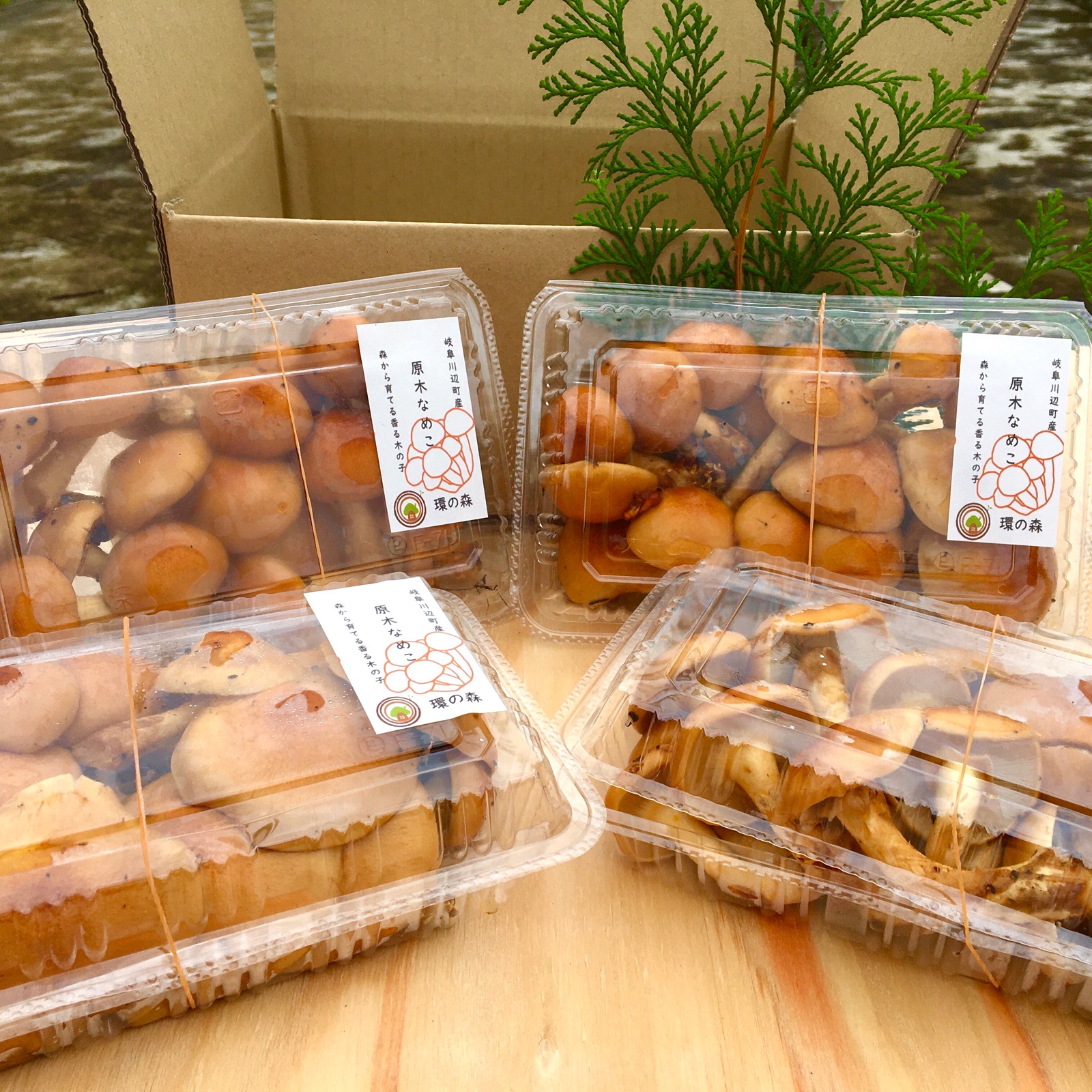 期間限定】原木なめこ 800g 〜森から育てた香る木の子〜 ｜ 野菜