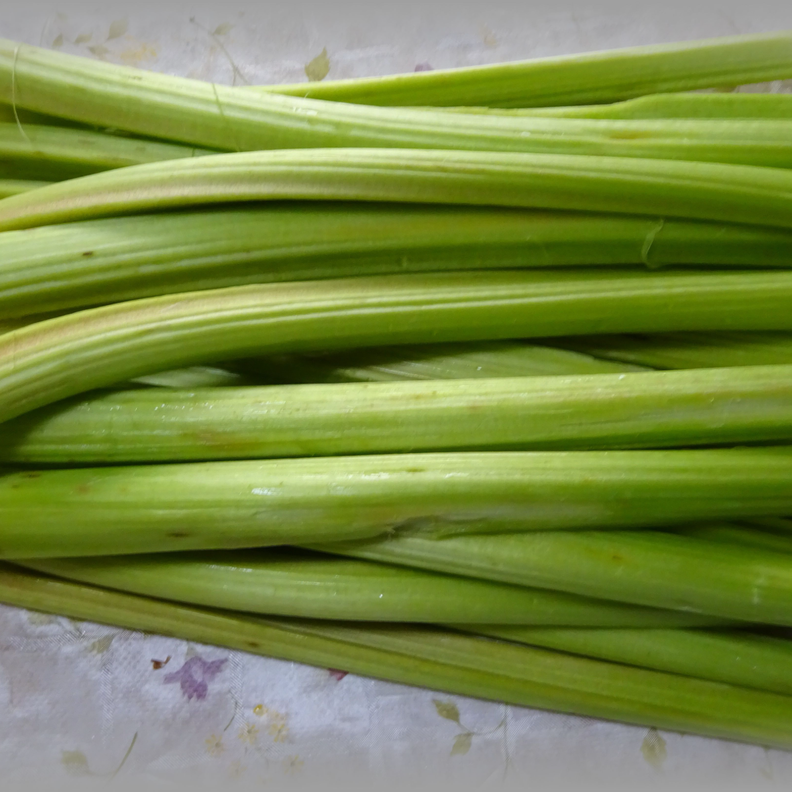 グリーンルバーブ・グラスキンズ（生茎2キロ） ｜ 野菜/ハーブ 産直