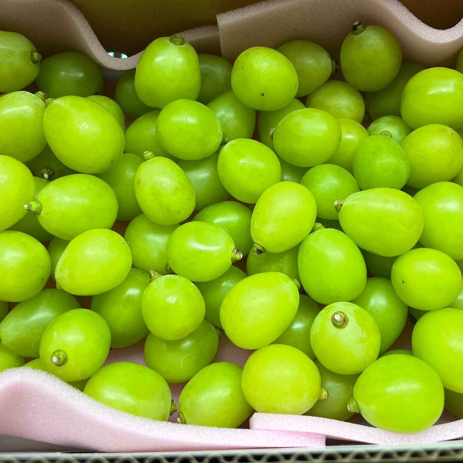 ご家庭用‼︎】訳ありお試し特別価格‼︎粒売り‼︎1kg‼︎シャイン