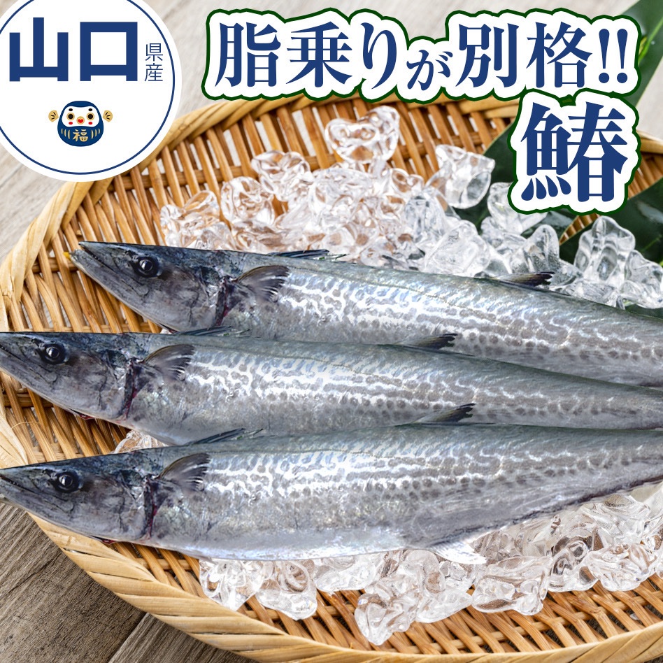 周防大島 青年漁師団（山口県・周防大島町）｜生産者詳細｜産直アウル
