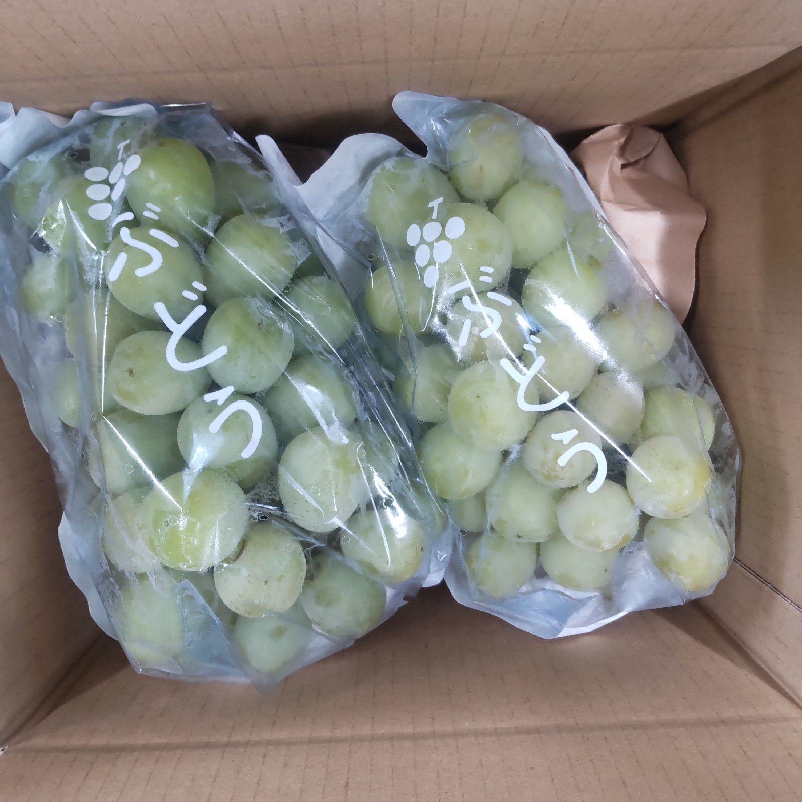 56【島根県産】シャインマスカット約2キロ(3〜5房) 食品 56【島根県産】シャインマスカット約2キロ(3〜5房)