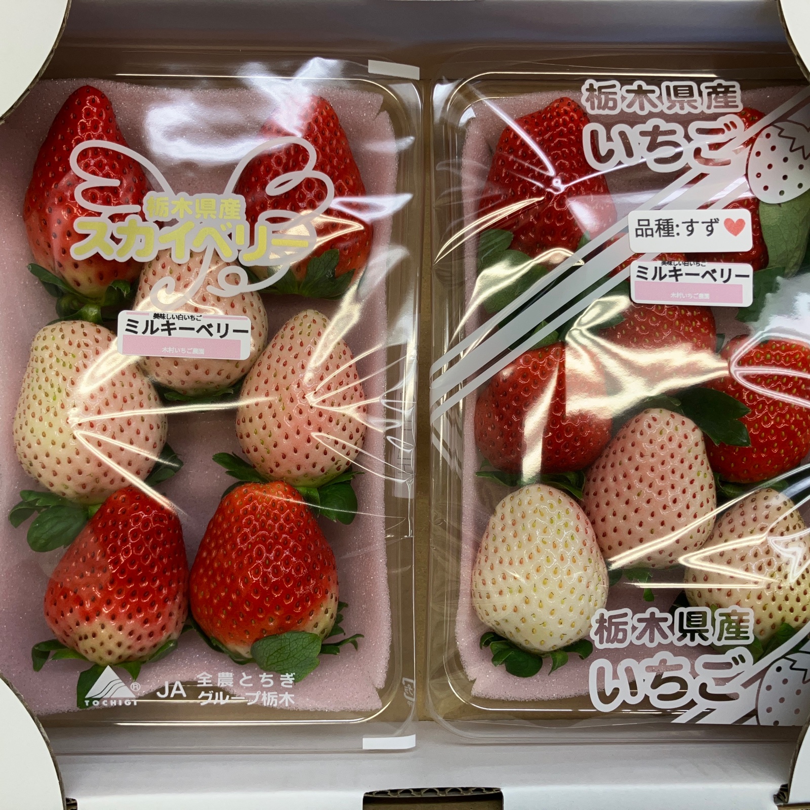 ミルキーベリー×スカイベリー×すず(またはやよいひめ) | 果物/いちご  