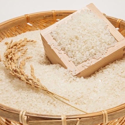 南幌町産「ゆめぴりか」10kg(5kg✖️2袋) ｜ 米・穀物/米/精米 産直
