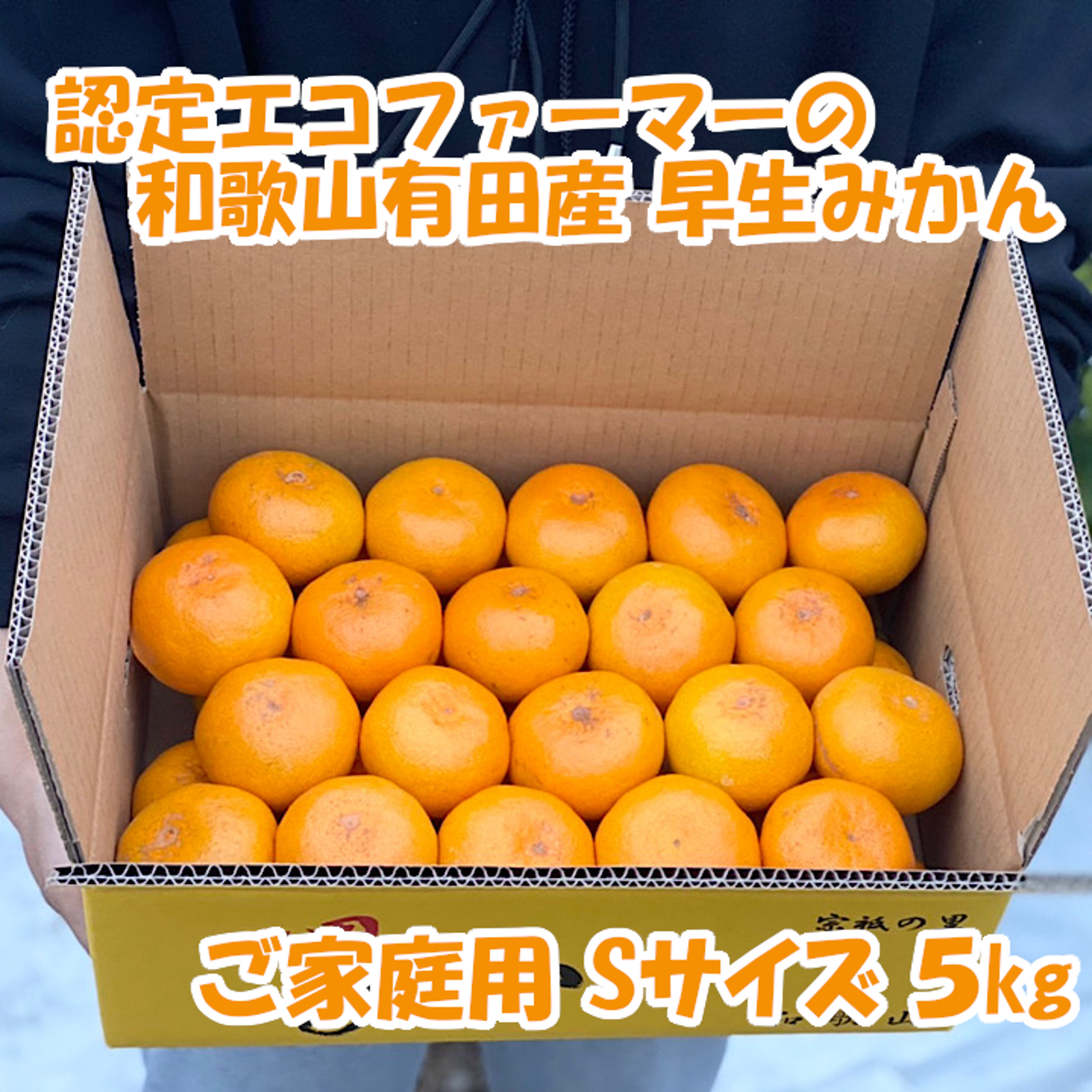和歌山産　減農薬早生みかん5kg 和歌山産 減農薬早生みかん5kg - メルカリ