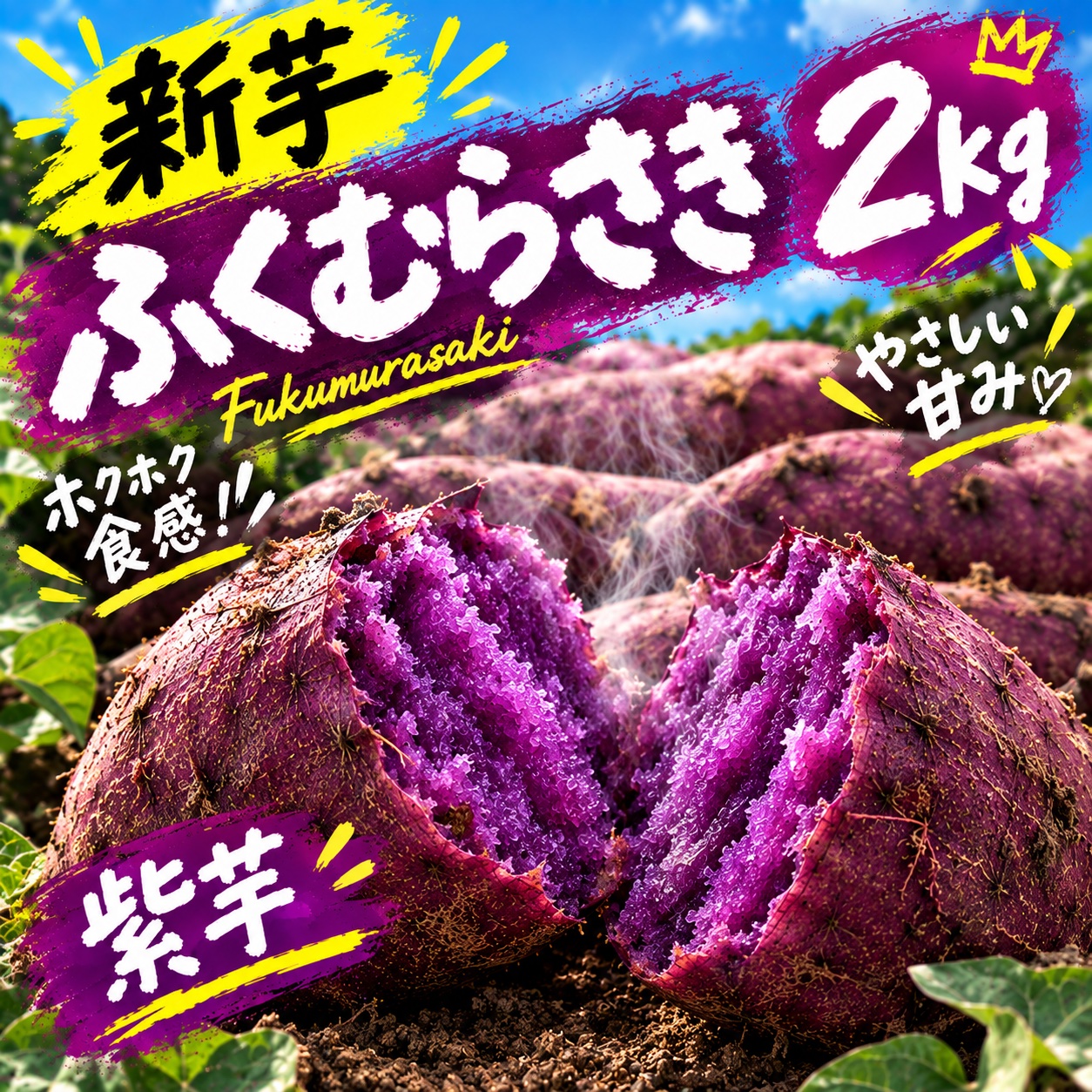 茨城県産 新芋ふくむらさき2kg 土付き 栽培時農薬不使用 ｜ 野菜