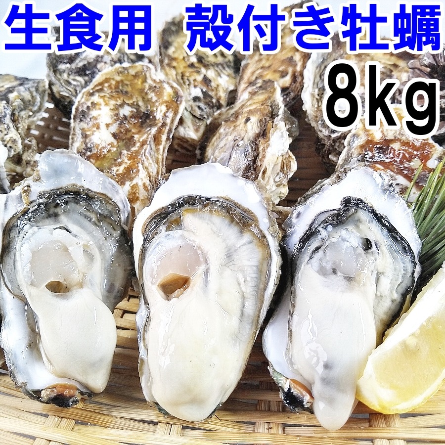 牡蠣さま専用 生食用 殻付き 牡蠣 8kg（56~140粒）8キロ 牡蠣 殻付き 牡蛎 宮城県