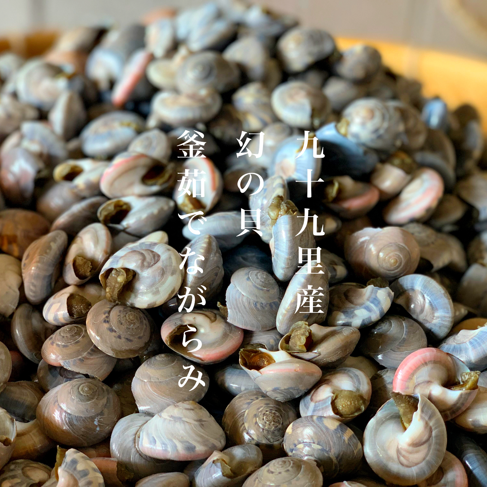 幻の貝】釜茹でながらみ1K【大サイズ】 | 魚介類/その他魚介 産直